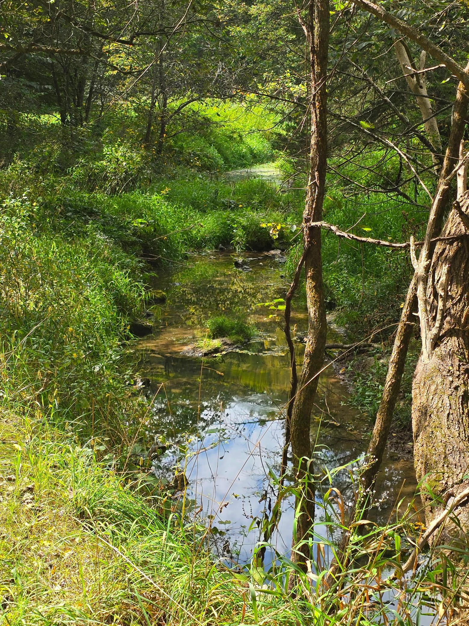 18123 Deer Road Property Photo 111