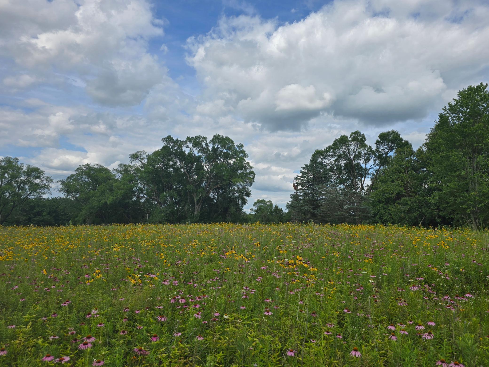 18123 Deer Road Property Photo 112
