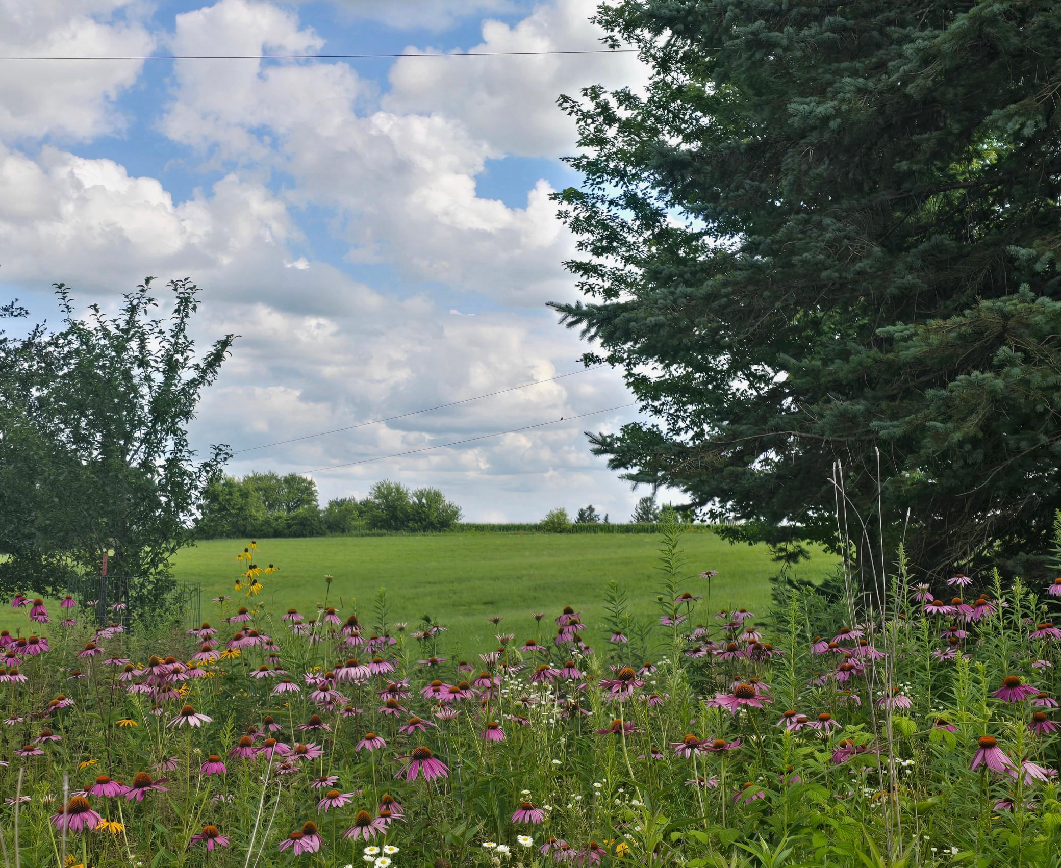 18123 Deer Road Property Photo 114