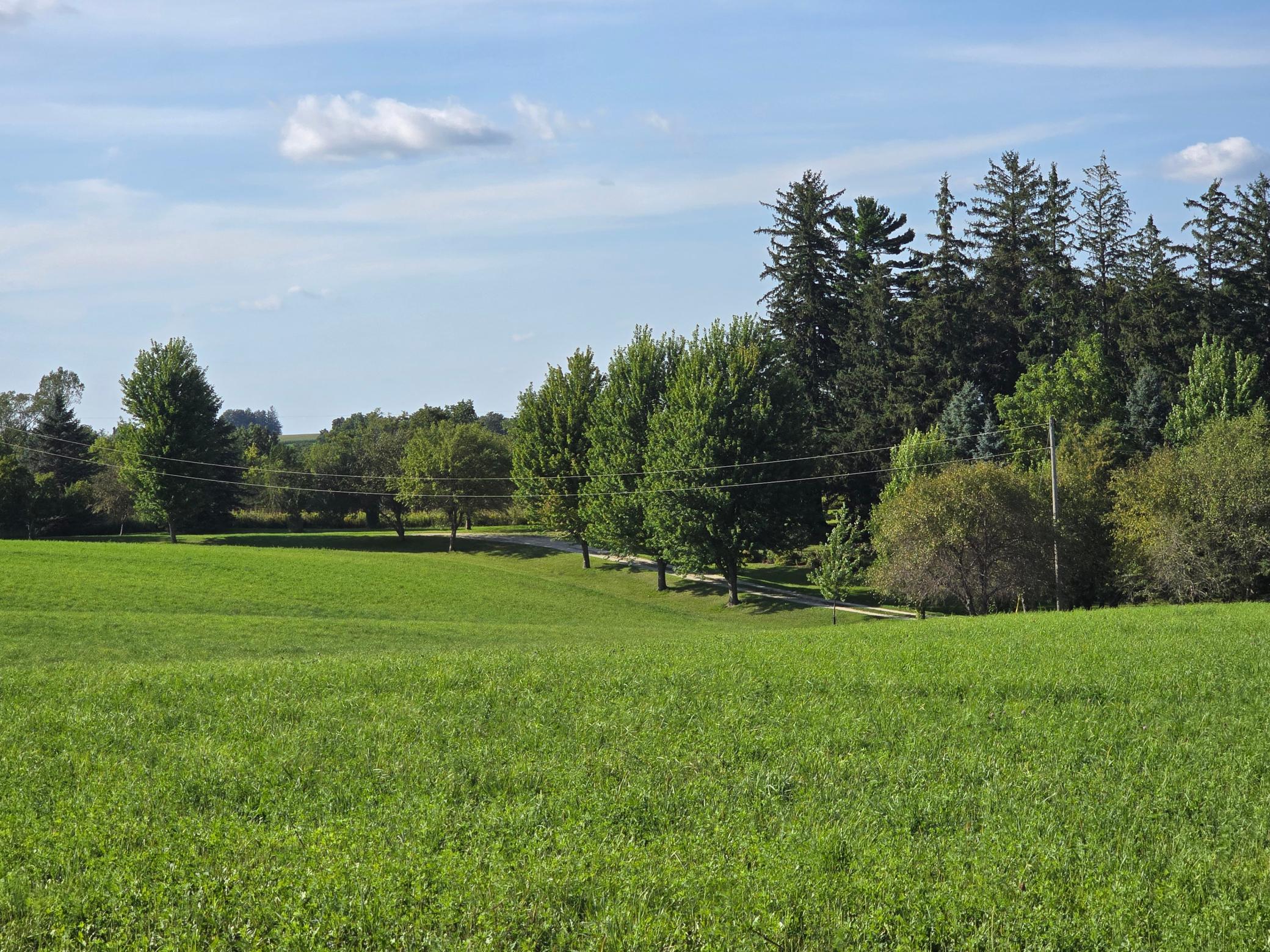 18123 Deer Road Property Photo 115
