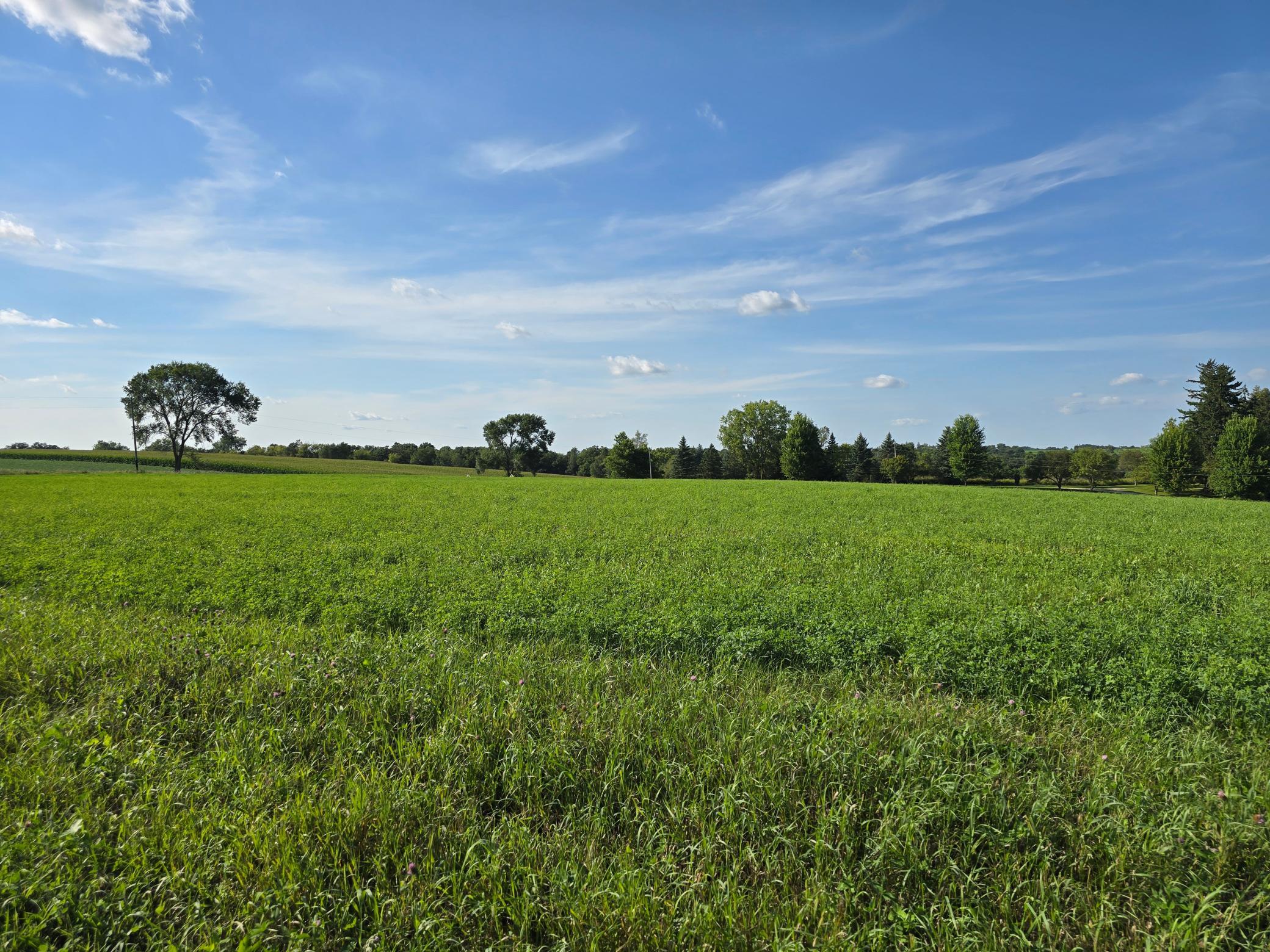 18123 Deer Road Property Photo 116