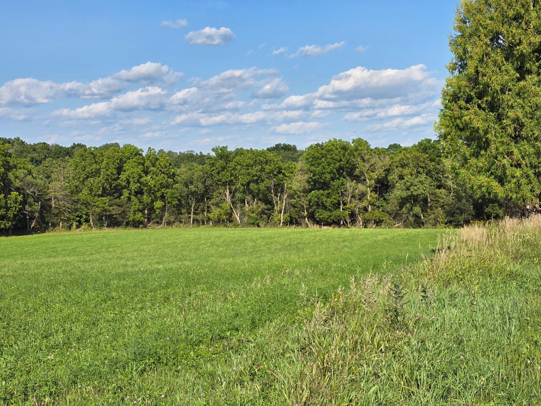 18123 Deer Road Property Photo 118