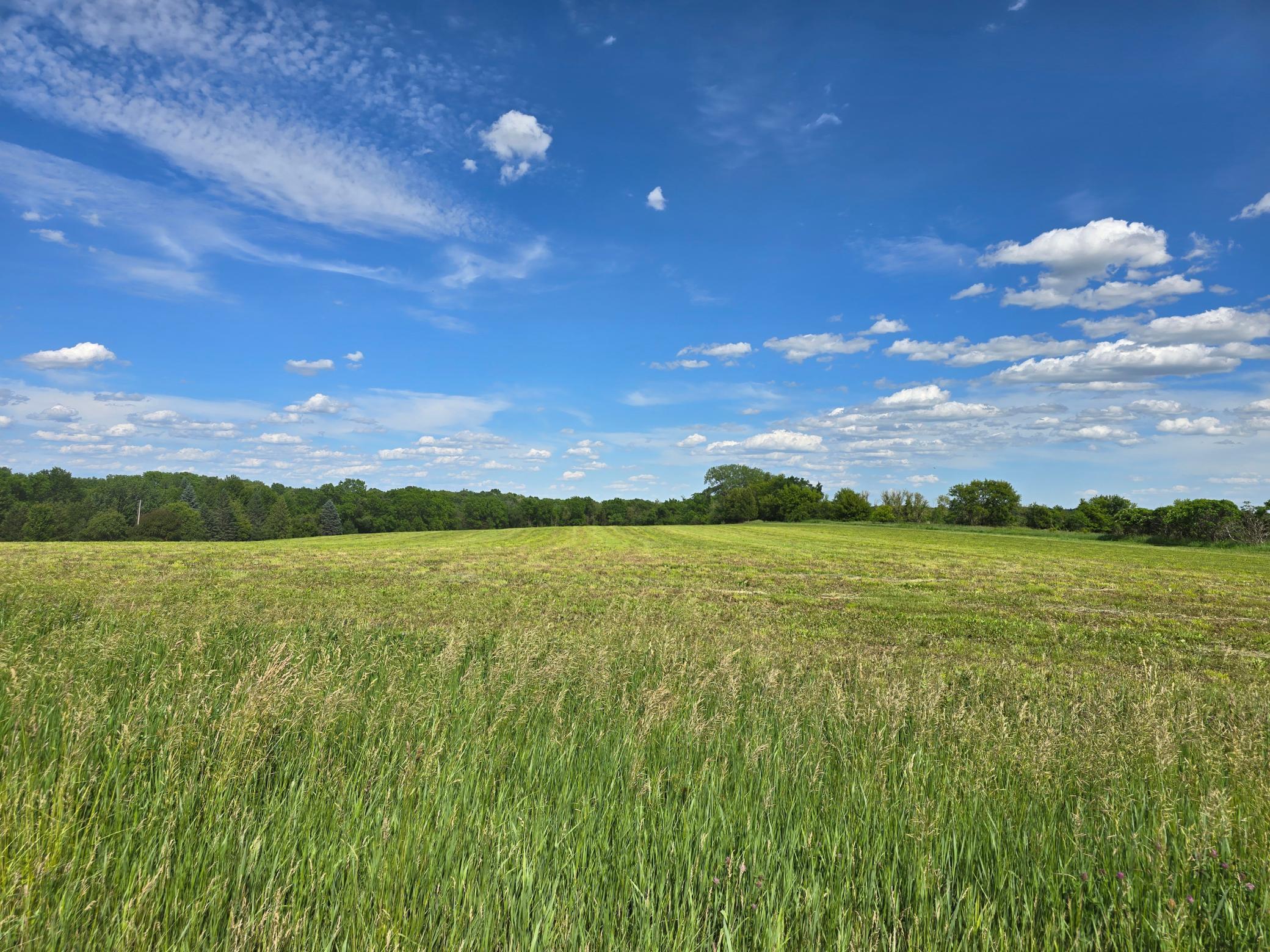 18123 Deer Road Property Photo 119