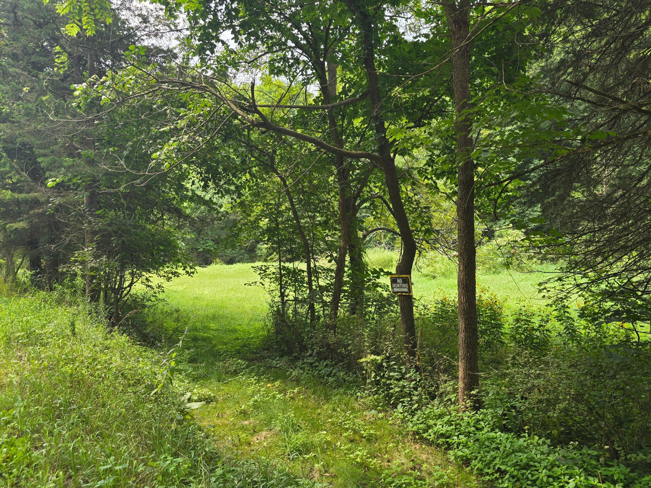 18123 Deer Road Property Photo 121