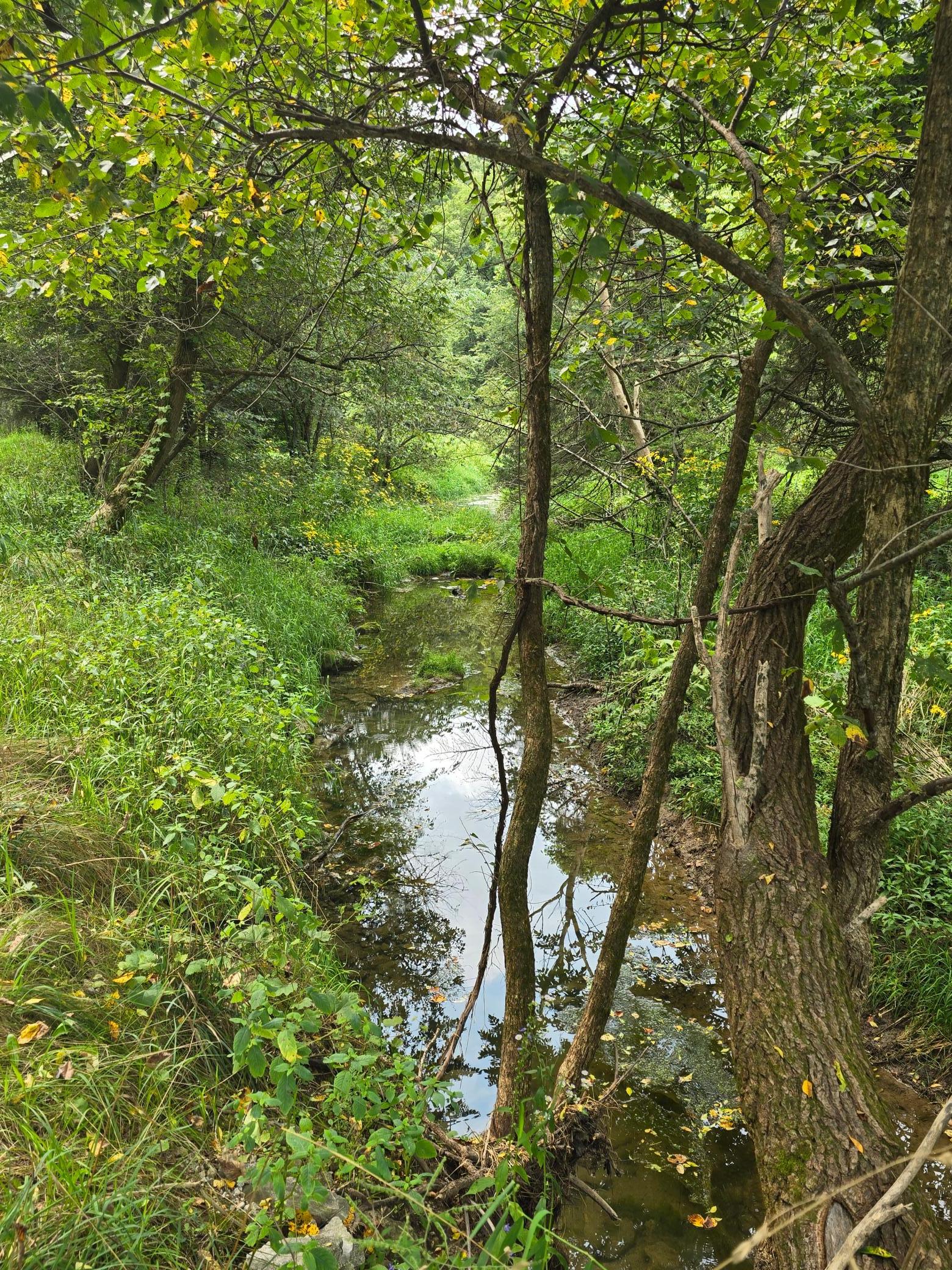 18123 Deer Road Property Photo 122