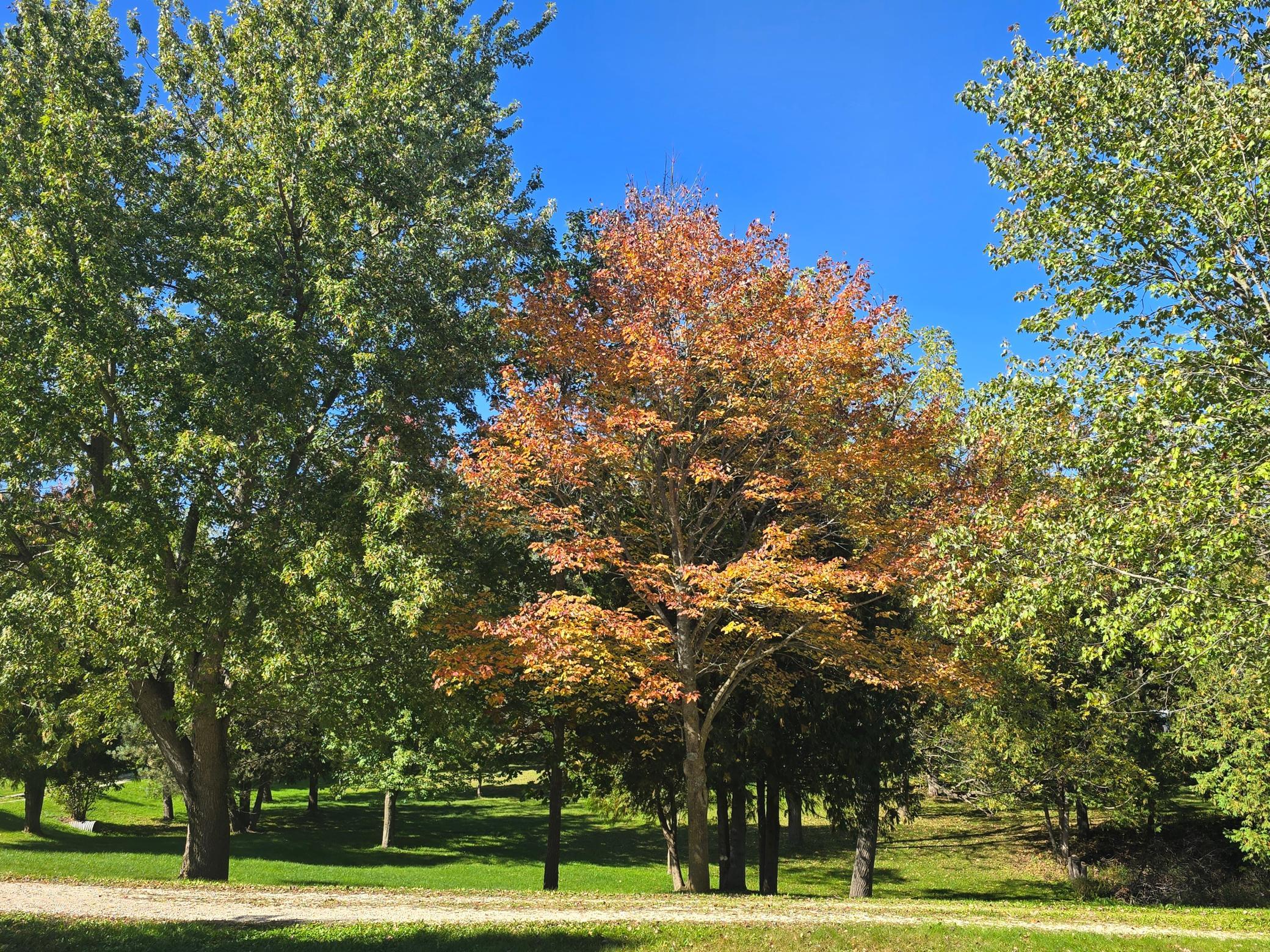 18123 Deer Road Property Photo 122