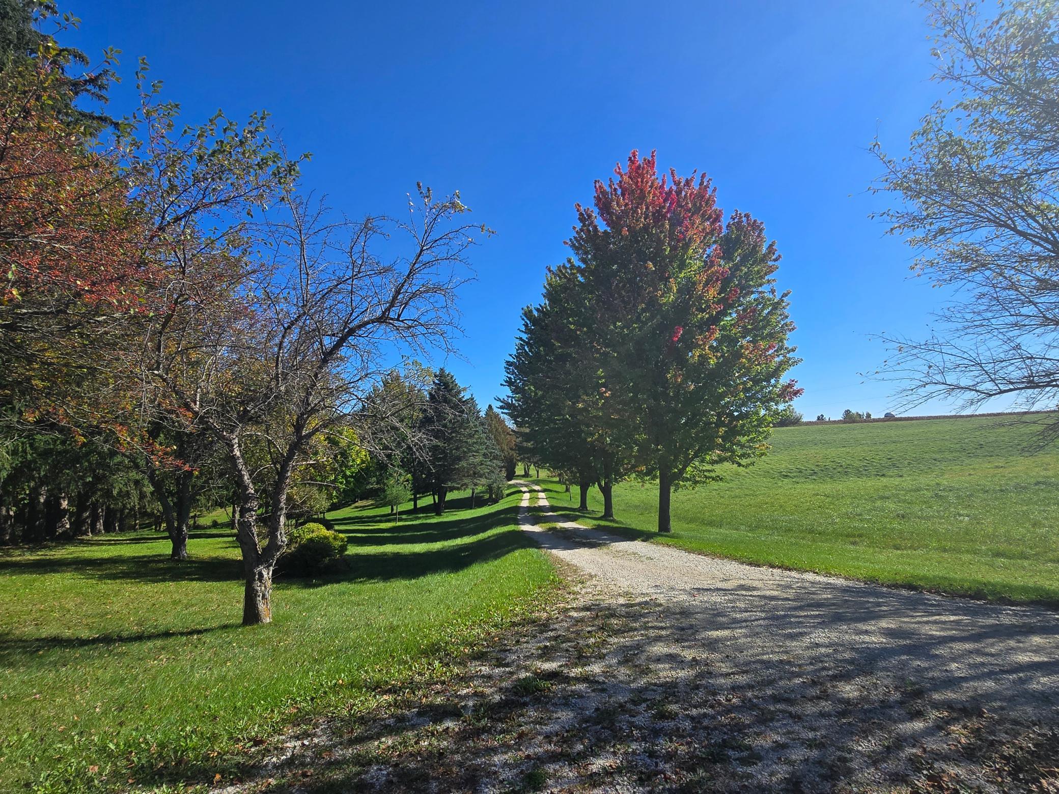 18123 Deer Road Property Photo 123