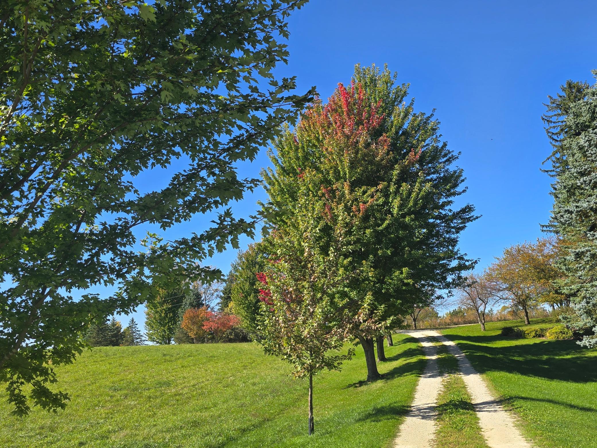 18123 Deer Road Property Photo 124