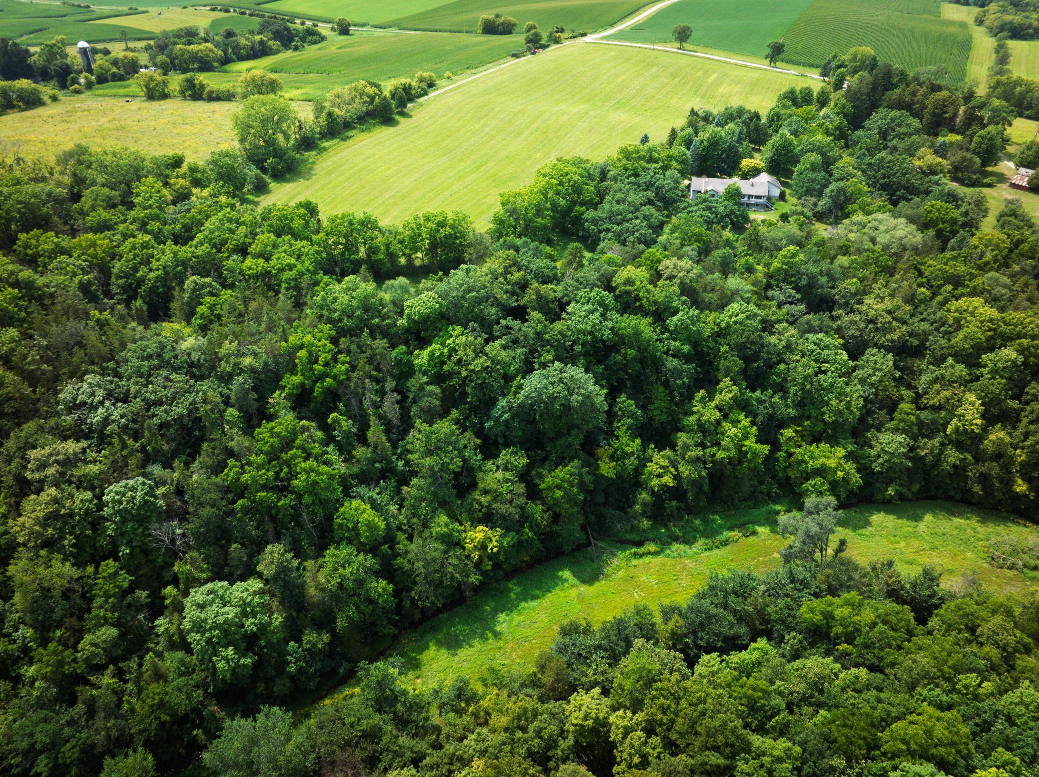 18123 Deer Road Property Photo 125
