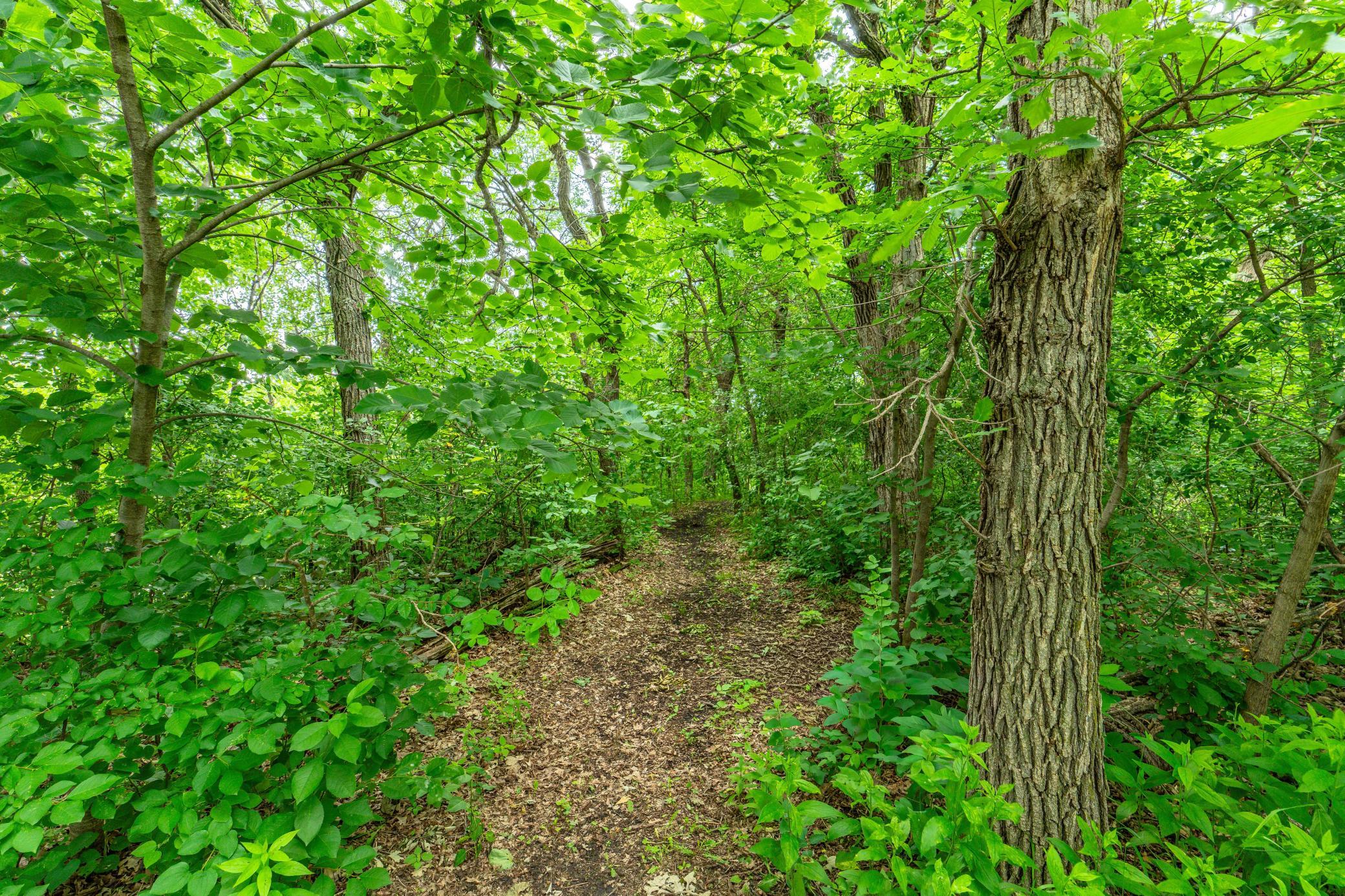 23256 Rus Dic Circle Property Photo 60