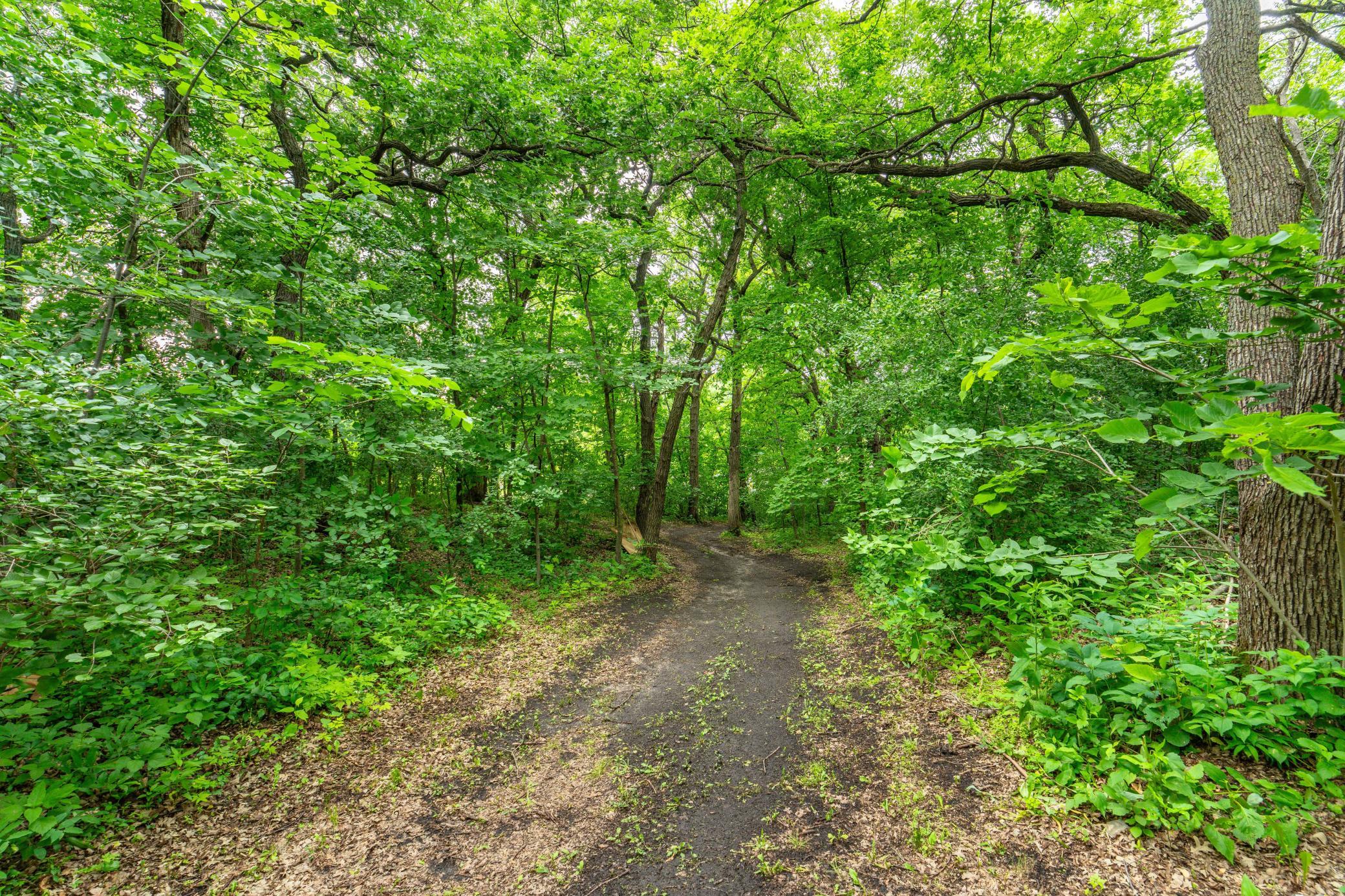 23256 Rus Dic Circle Property Photo 61