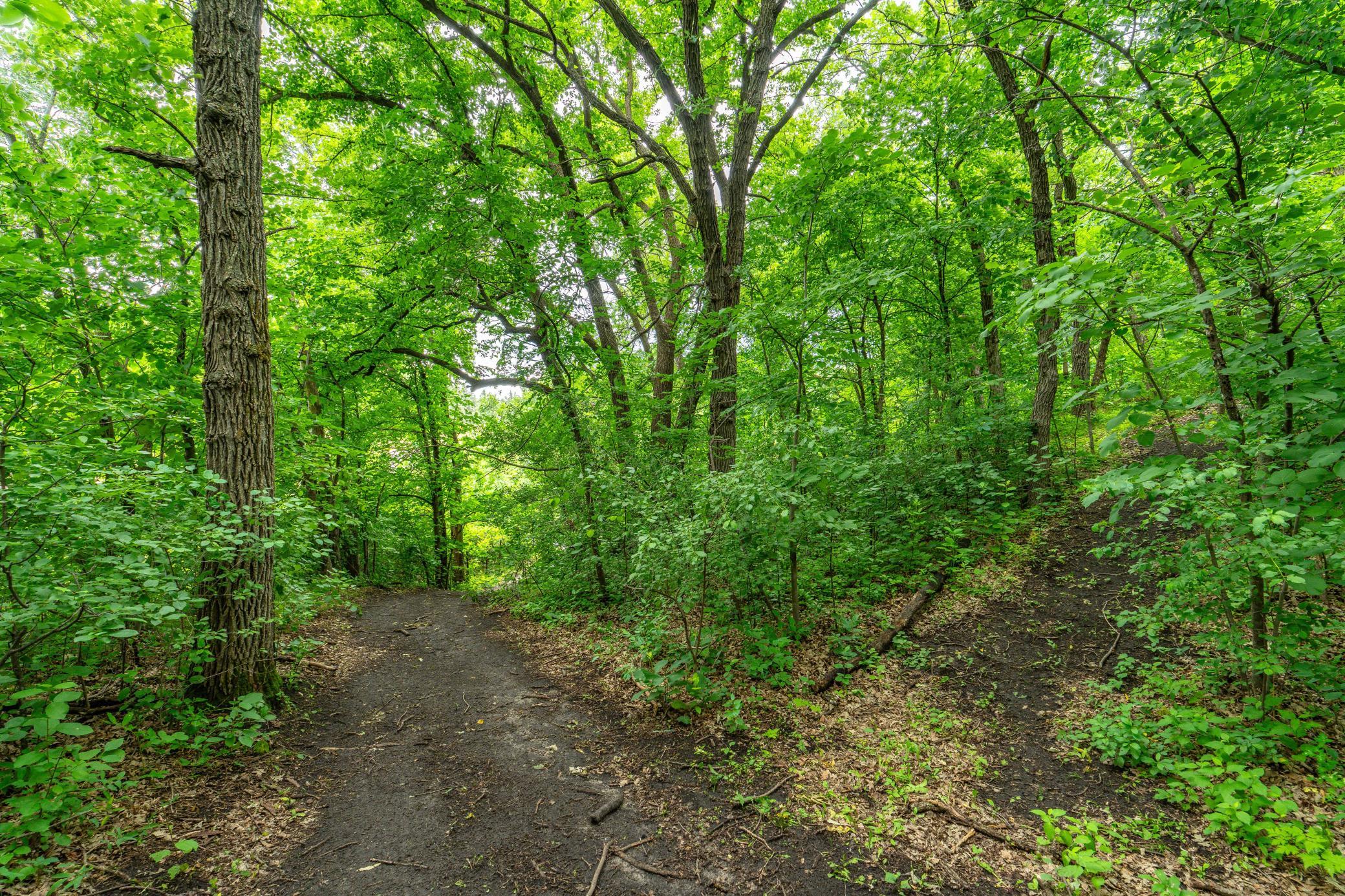 23256 Rus Dic Circle Property Photo 62