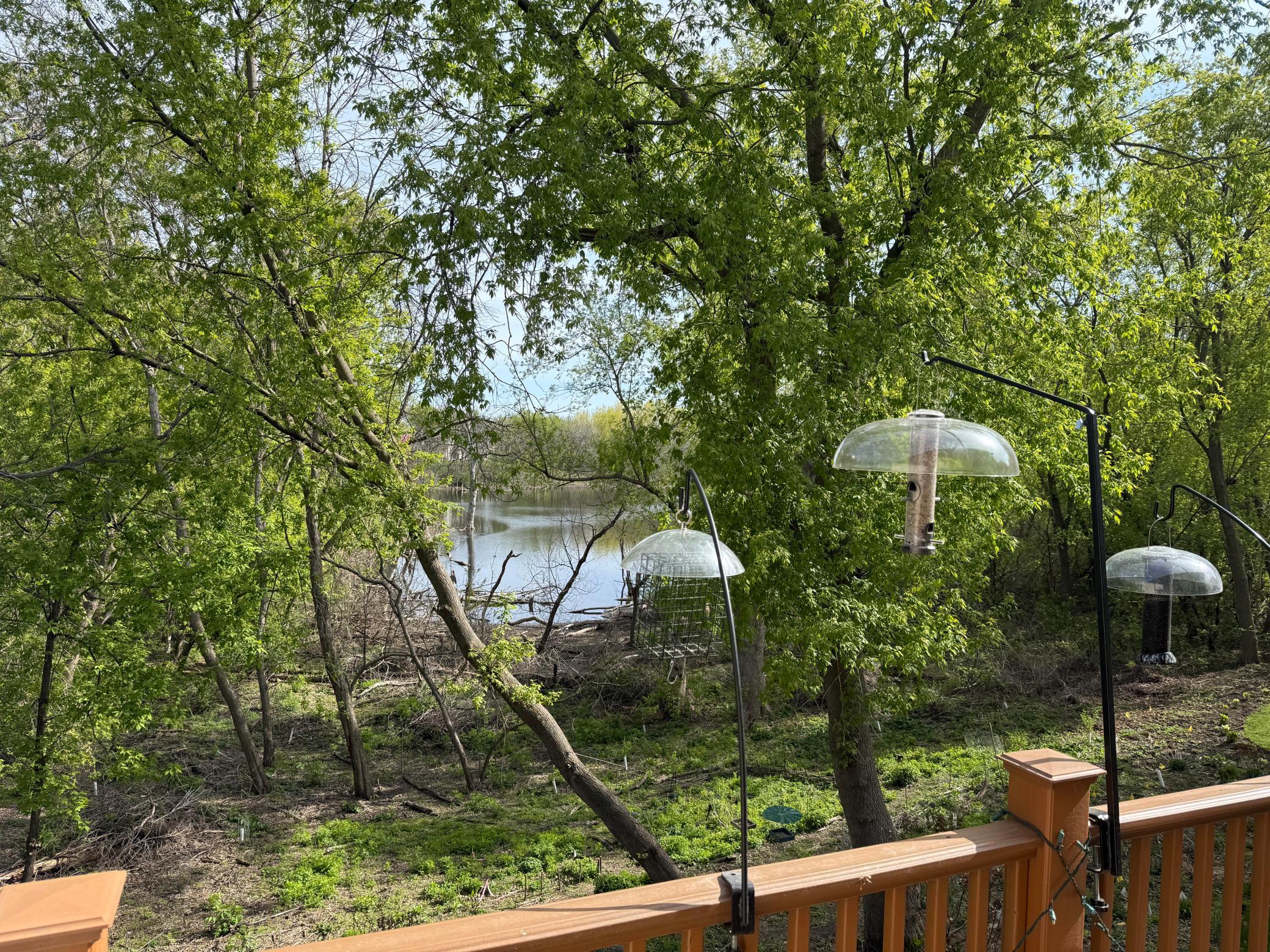 15595 Cherry Path Property Photo 45