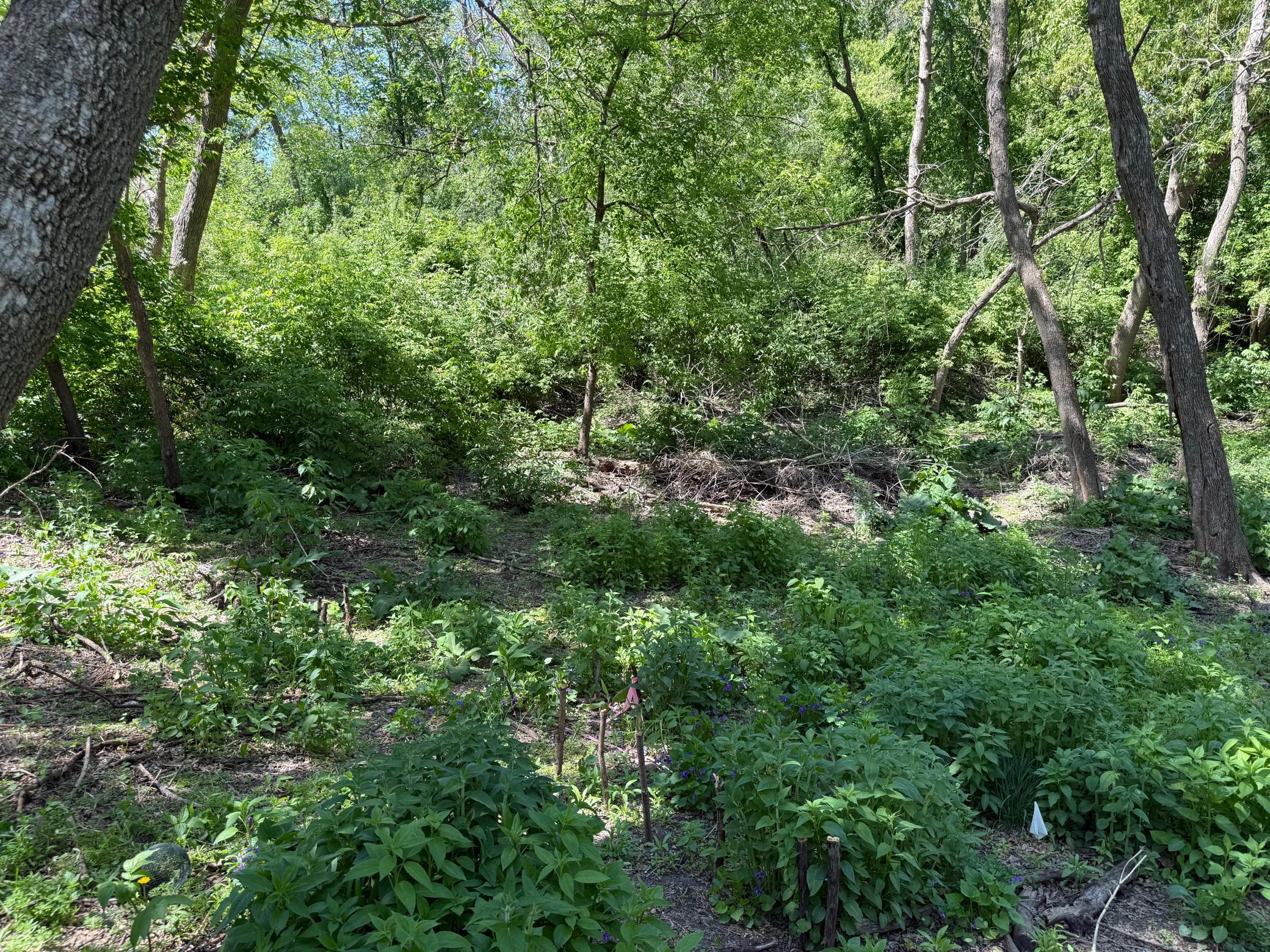15595 Cherry Path Property Photo 52