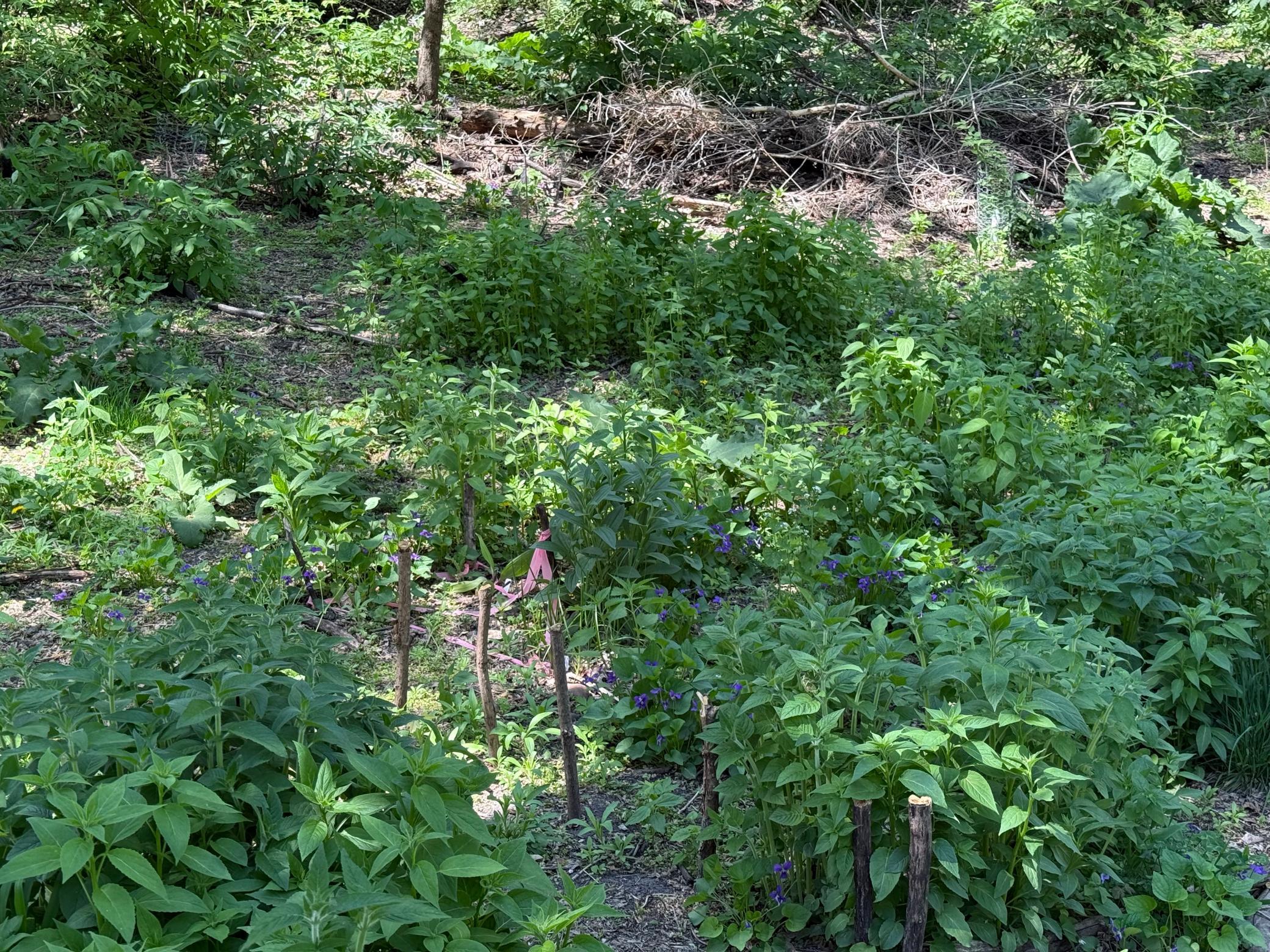 15595 Cherry Path Property Photo 53