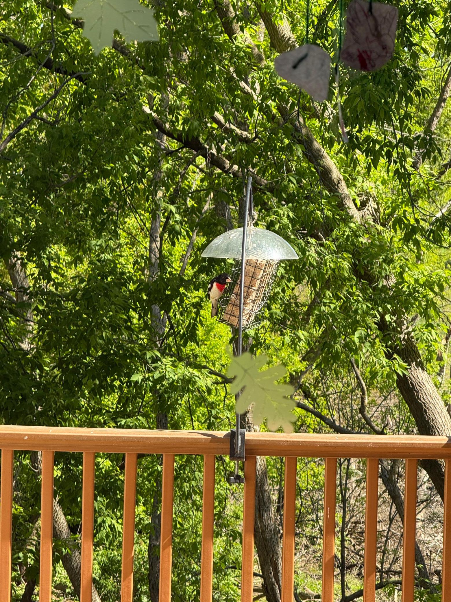 15595 Cherry Path Property Photo 56