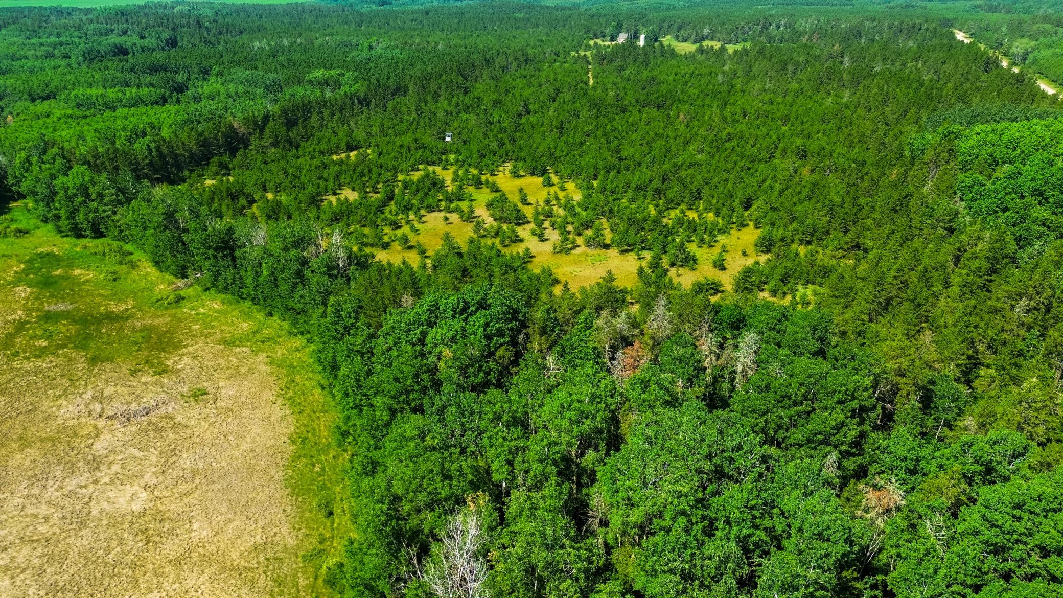 Tract 1 - Tbd Hubbard Line Rd Property Photo 5