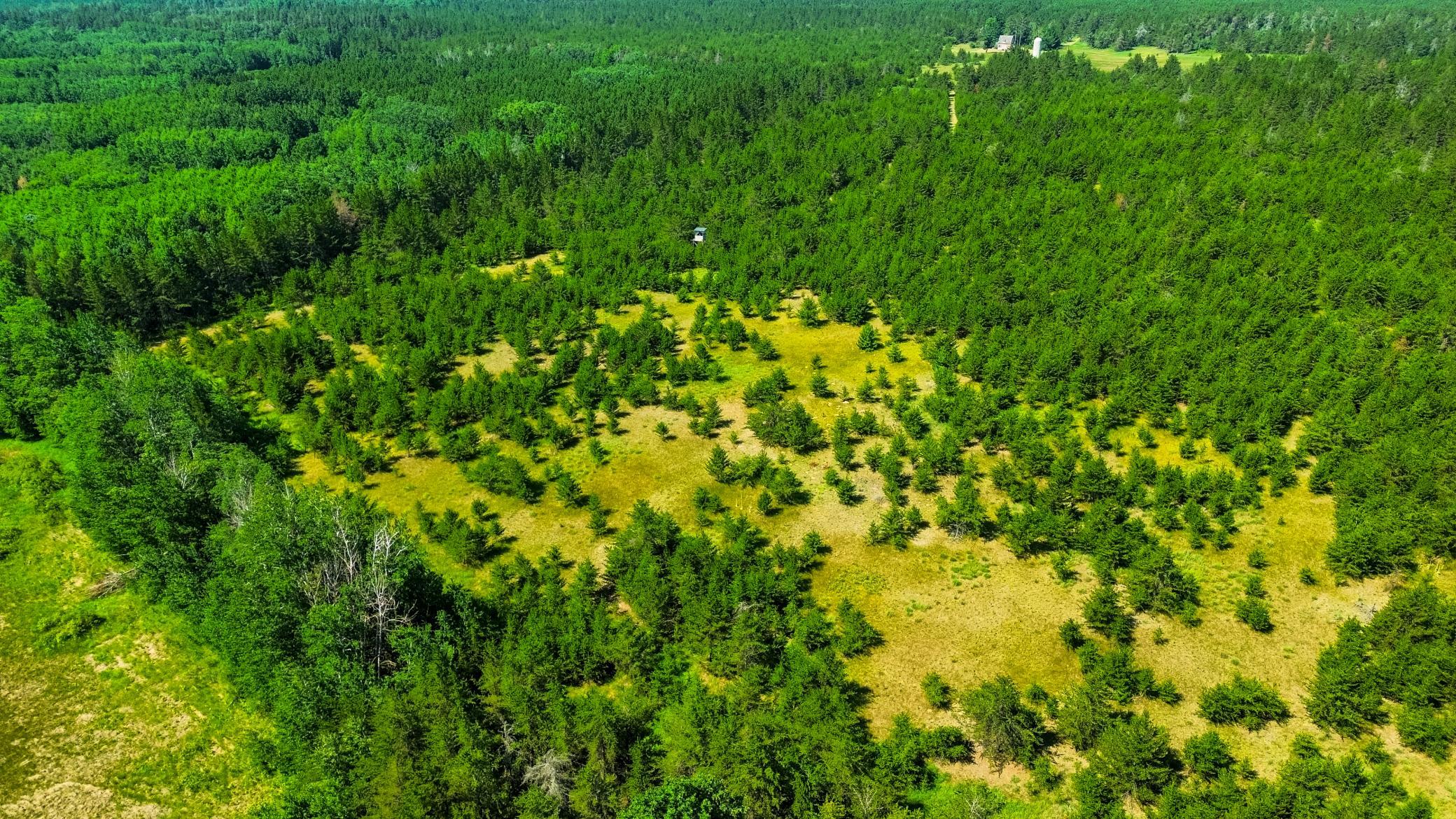 Tract 1 - Tbd Hubbard Line Rd Property Photo 6