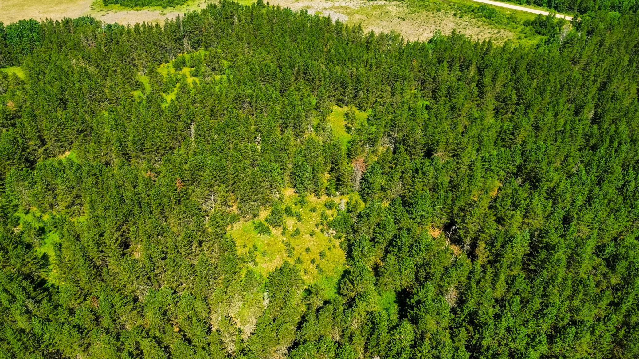 Tract 1 - Tbd Hubbard Line Rd Property Photo 9