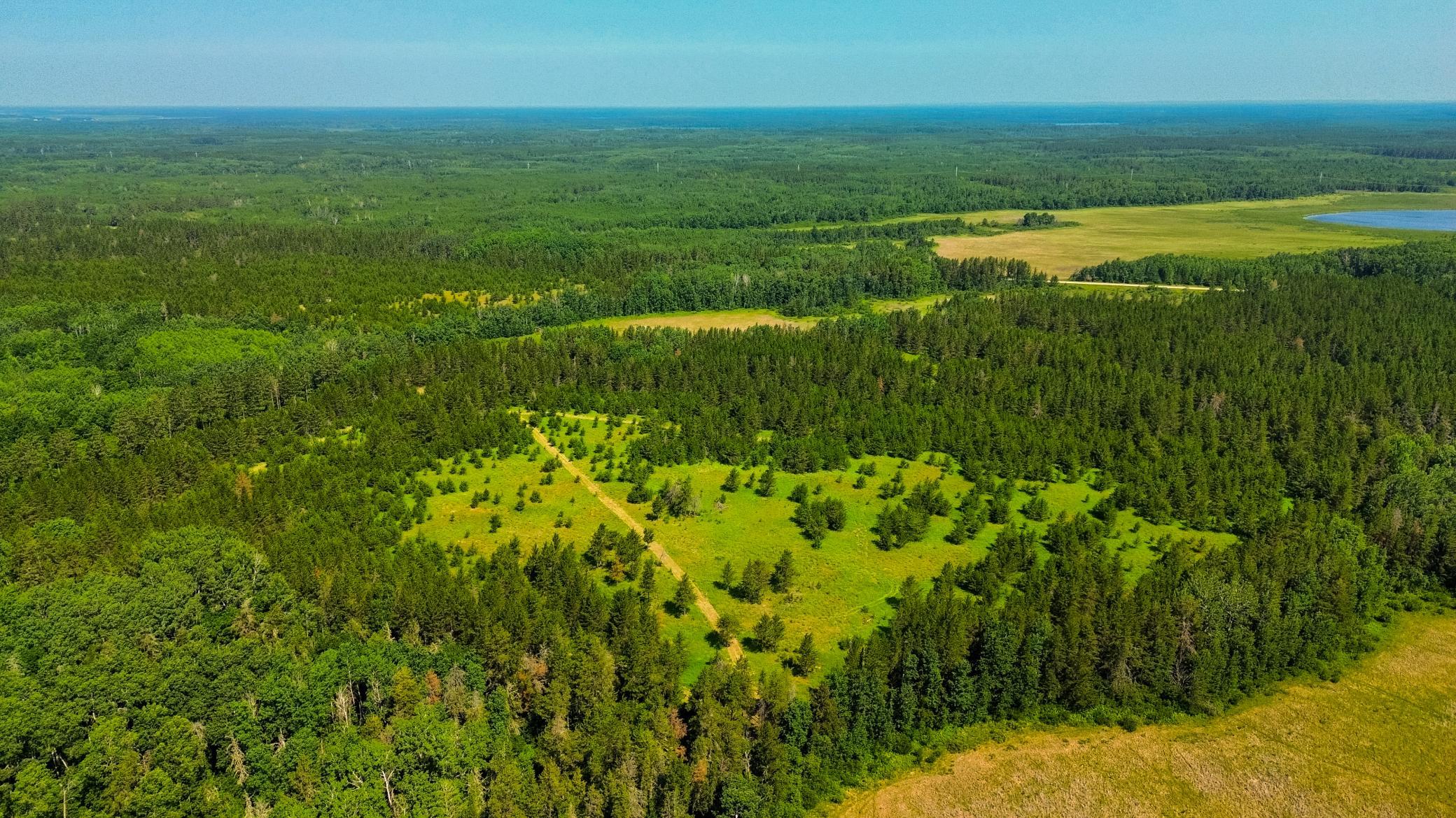 Tract 1 - Tbd Hubbard Line Rd Property Photo 16