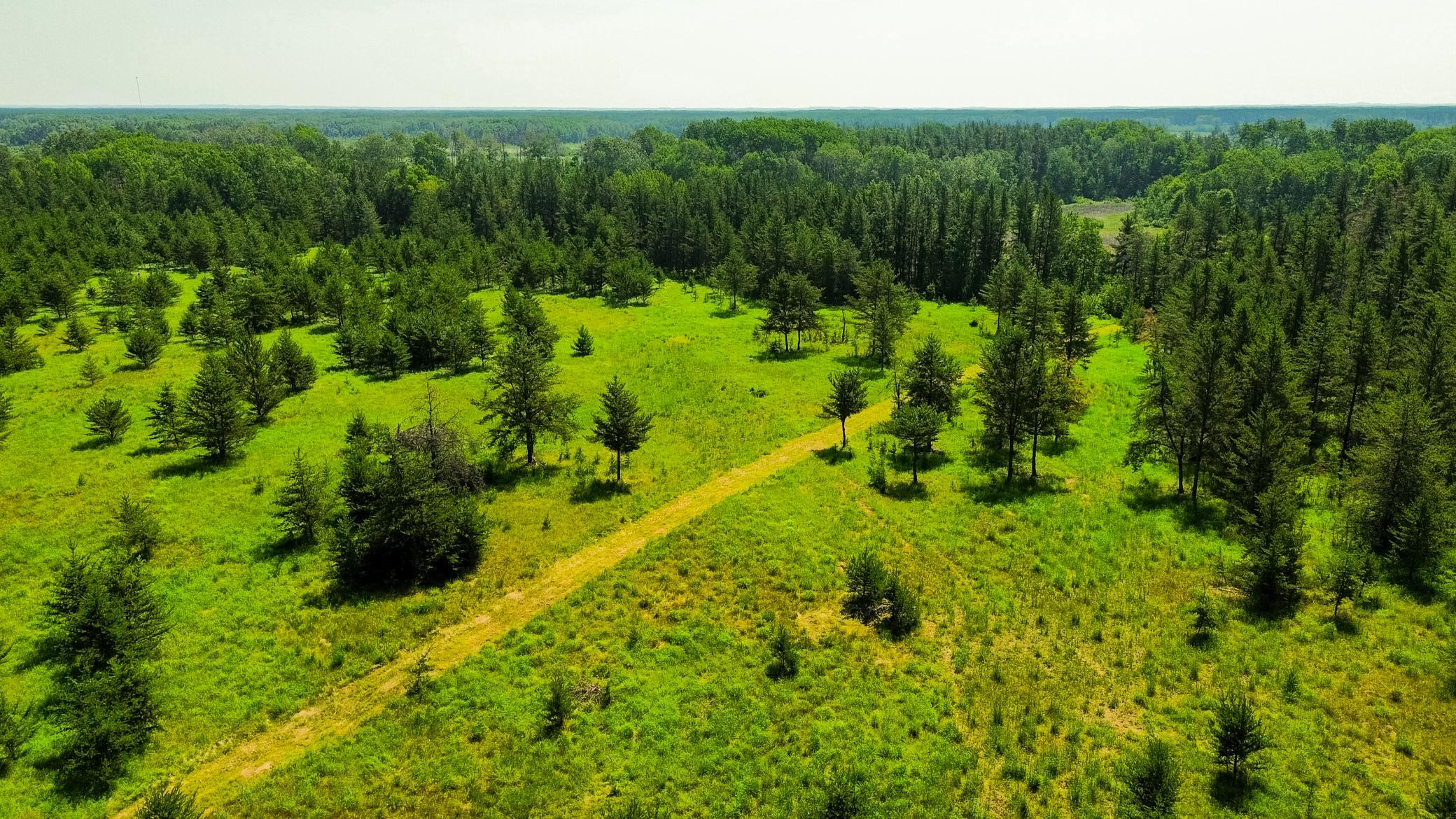Tract 1 - Tbd Hubbard Line Rd Property Photo 17