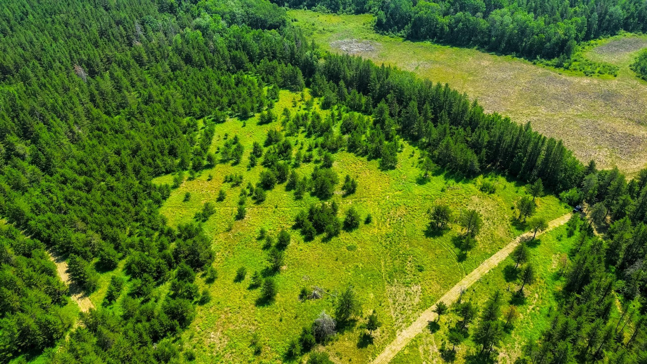 Tract 1 - Tbd Hubbard Line Rd Property Photo 18