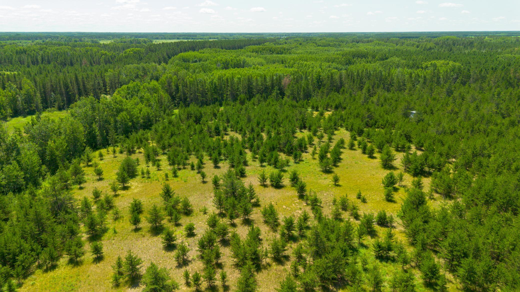 Tract 1 - Tbd Hubbard Line Rd Property Photo 23