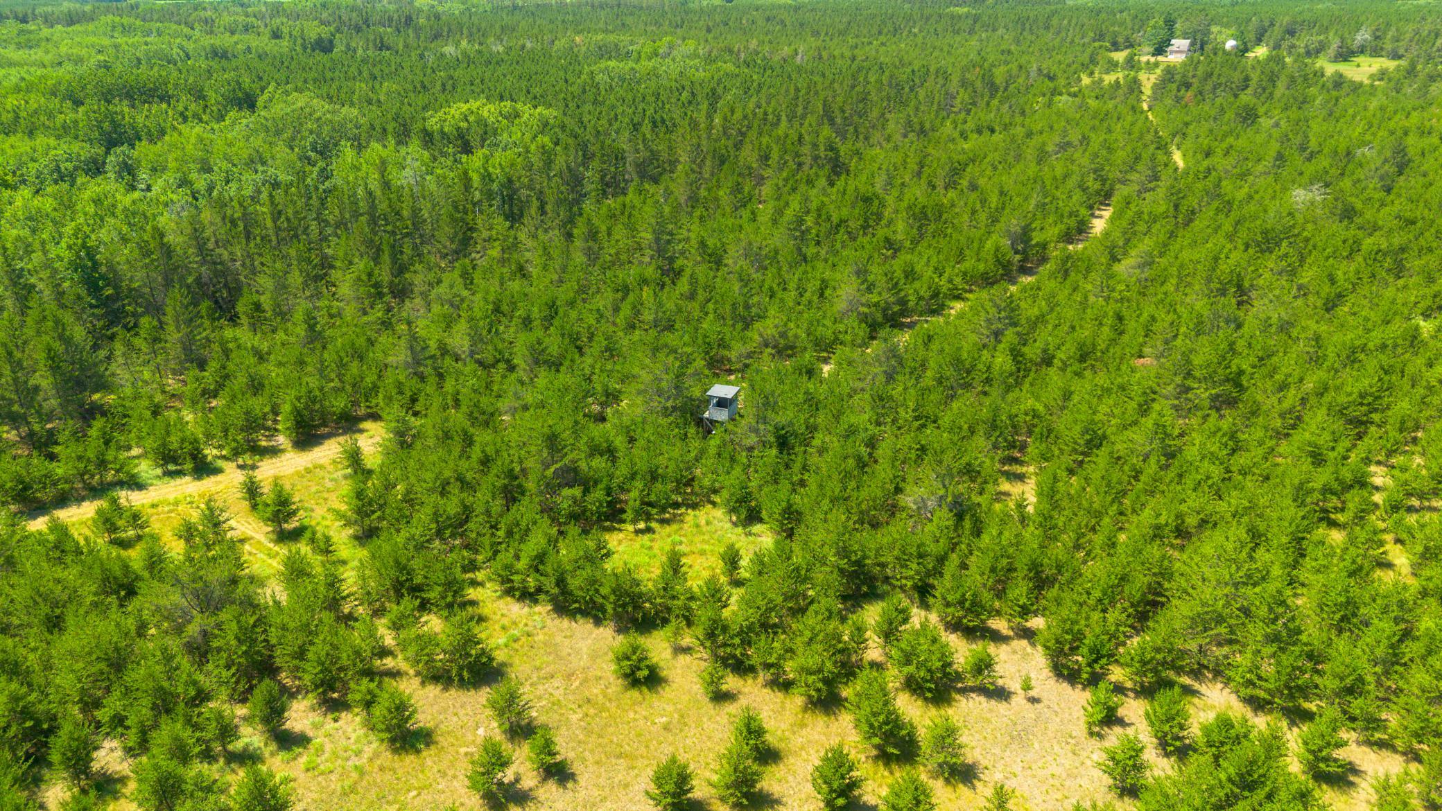 Tract 1 - Tbd Hubbard Line Rd Property Photo 24