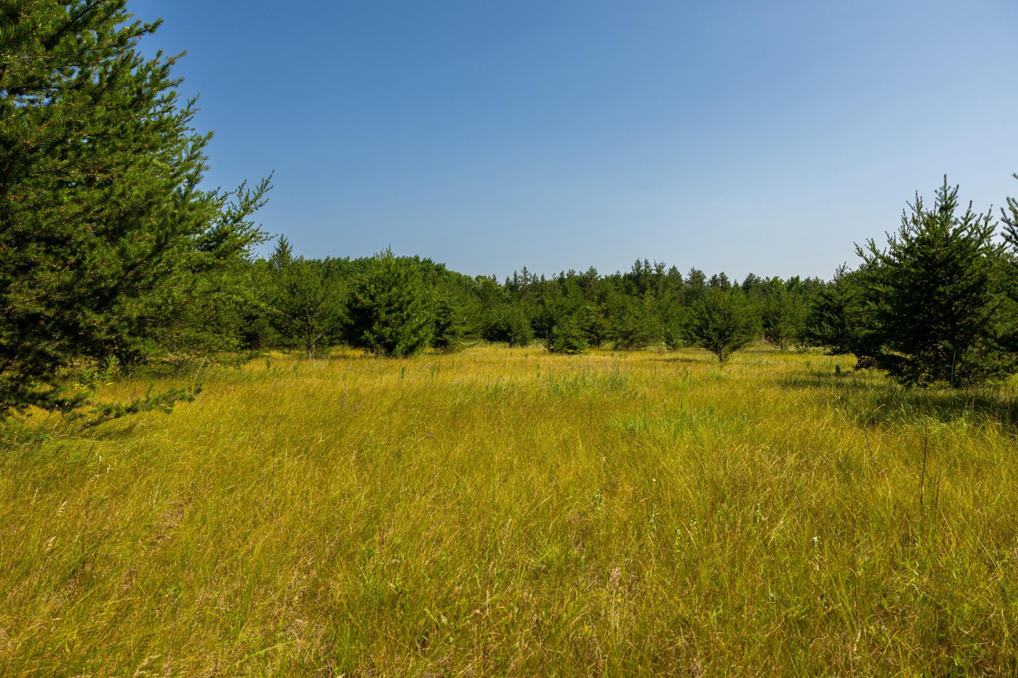 Tract 1 - Tbd Hubbard Line Rd Property Photo 27