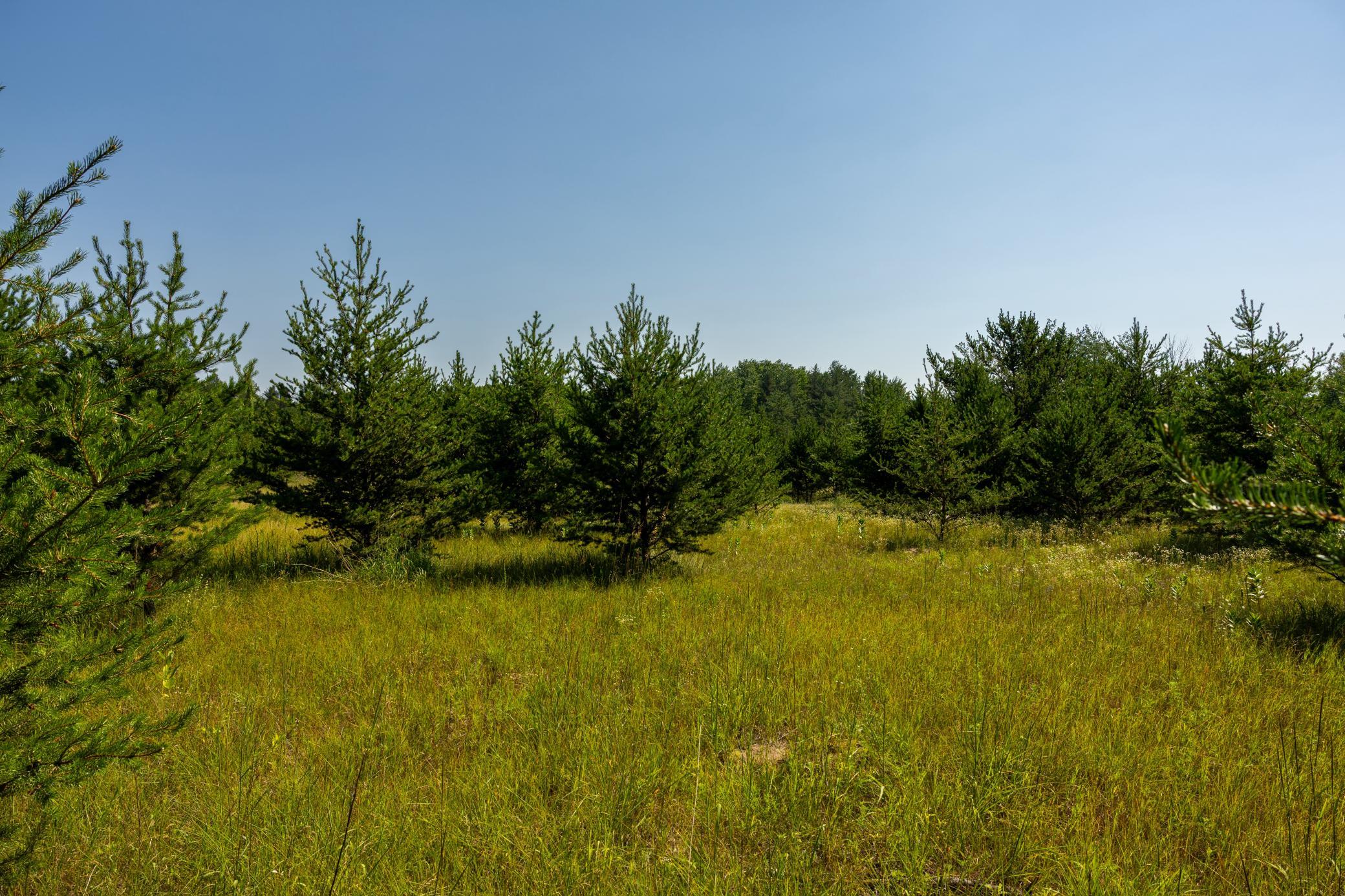 Tract 1 - Tbd Hubbard Line Rd Property Photo 28
