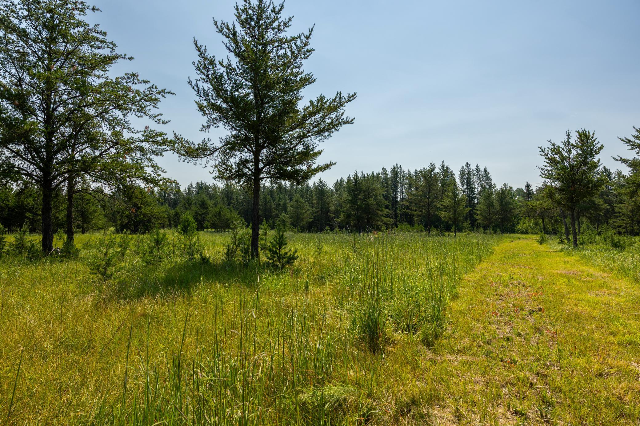 Tract 1 - Tbd Hubbard Line Rd Property Photo 32