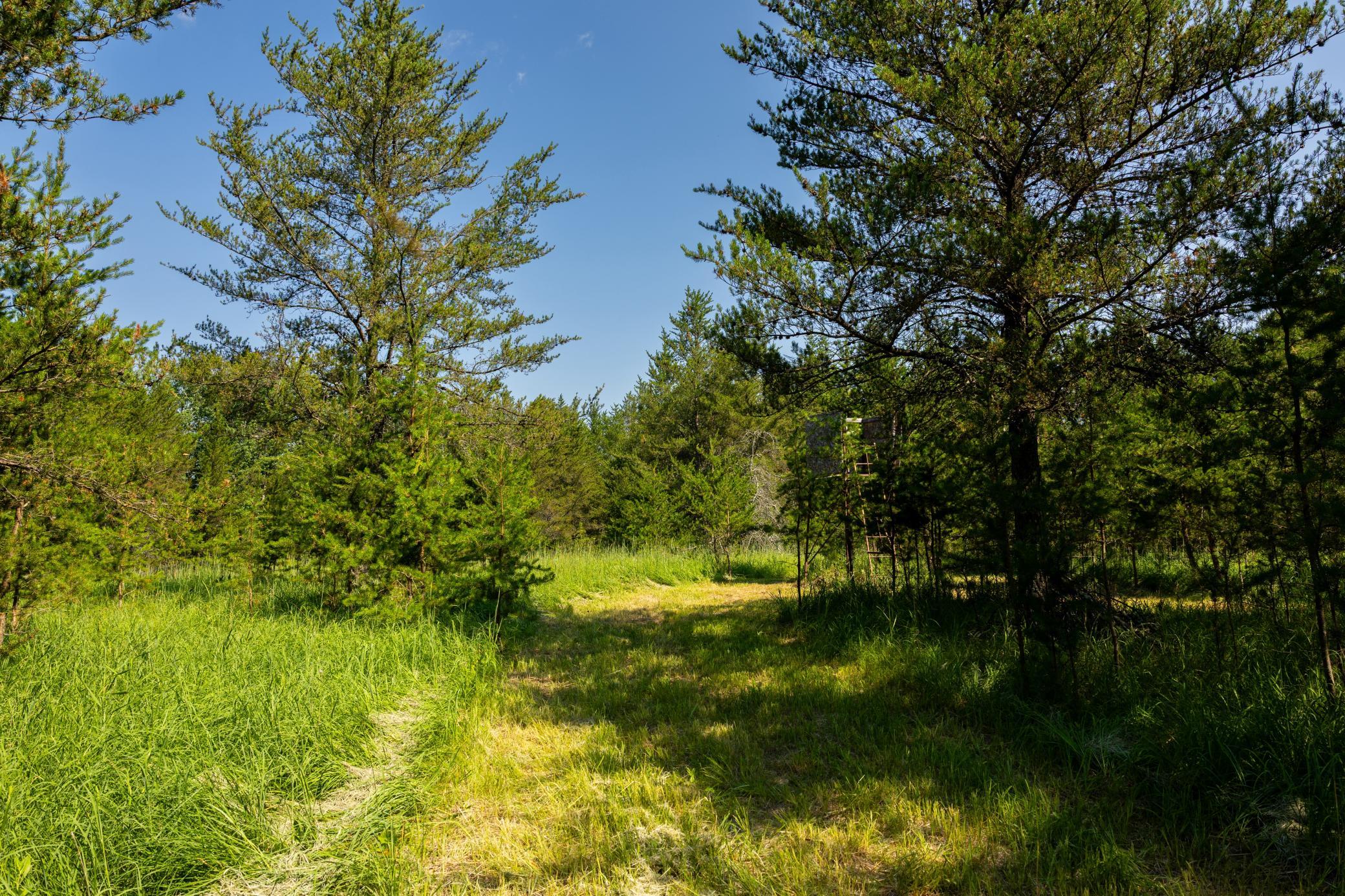Tract 1 - Tbd Hubbard Line Rd Property Photo 33