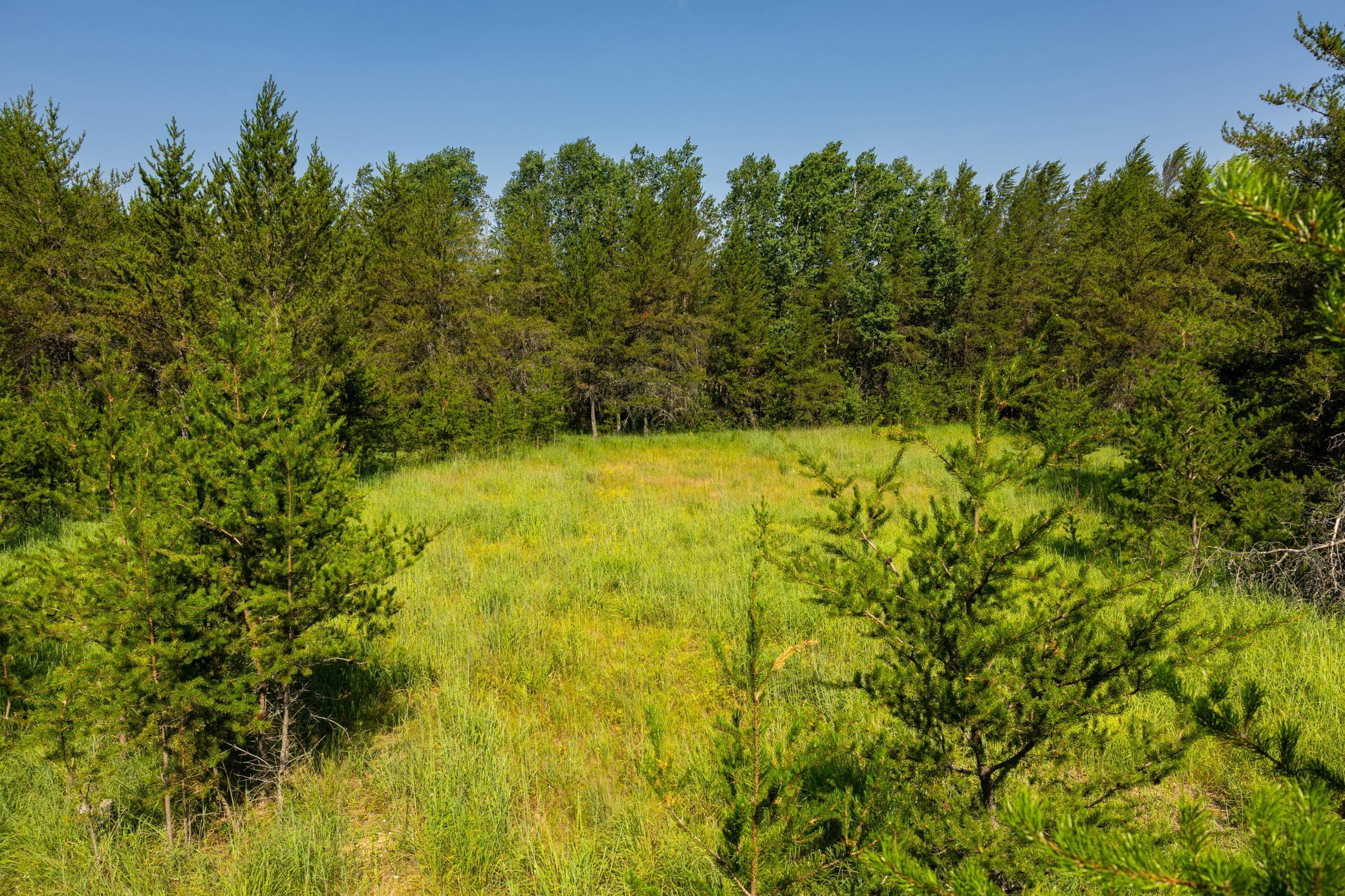 Tract 1 - Tbd Hubbard Line Rd Property Photo 34