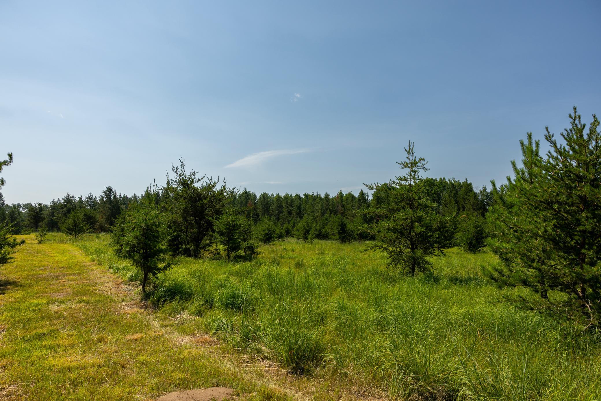 Tract 1 - Tbd Hubbard Line Rd Property Photo 35