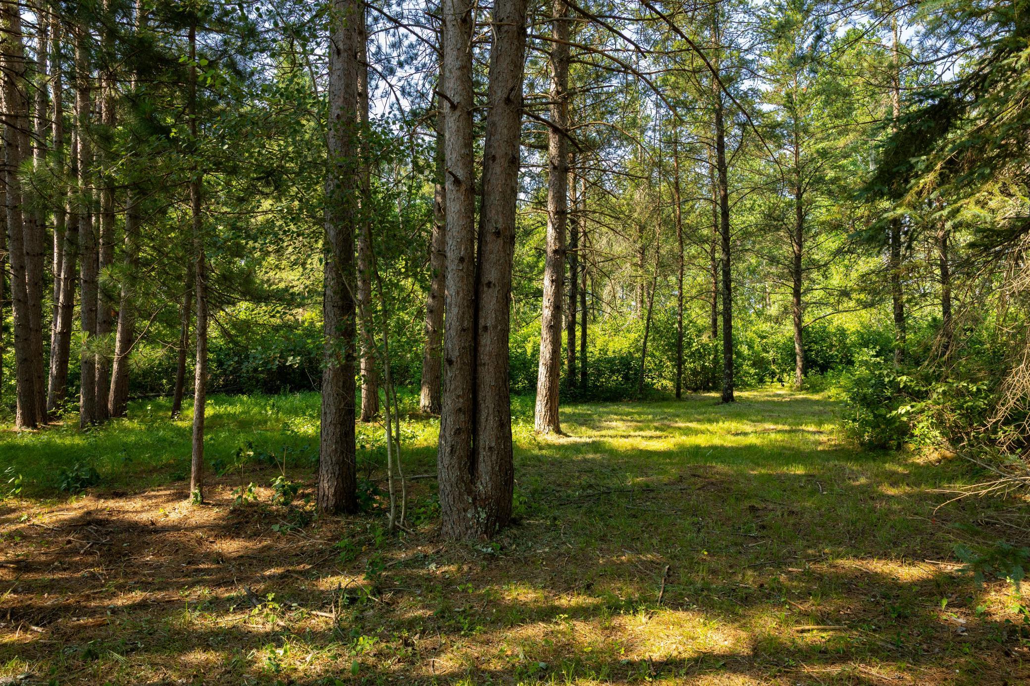 Tract 1 - Tbd Hubbard Line Rd Property Photo 41
