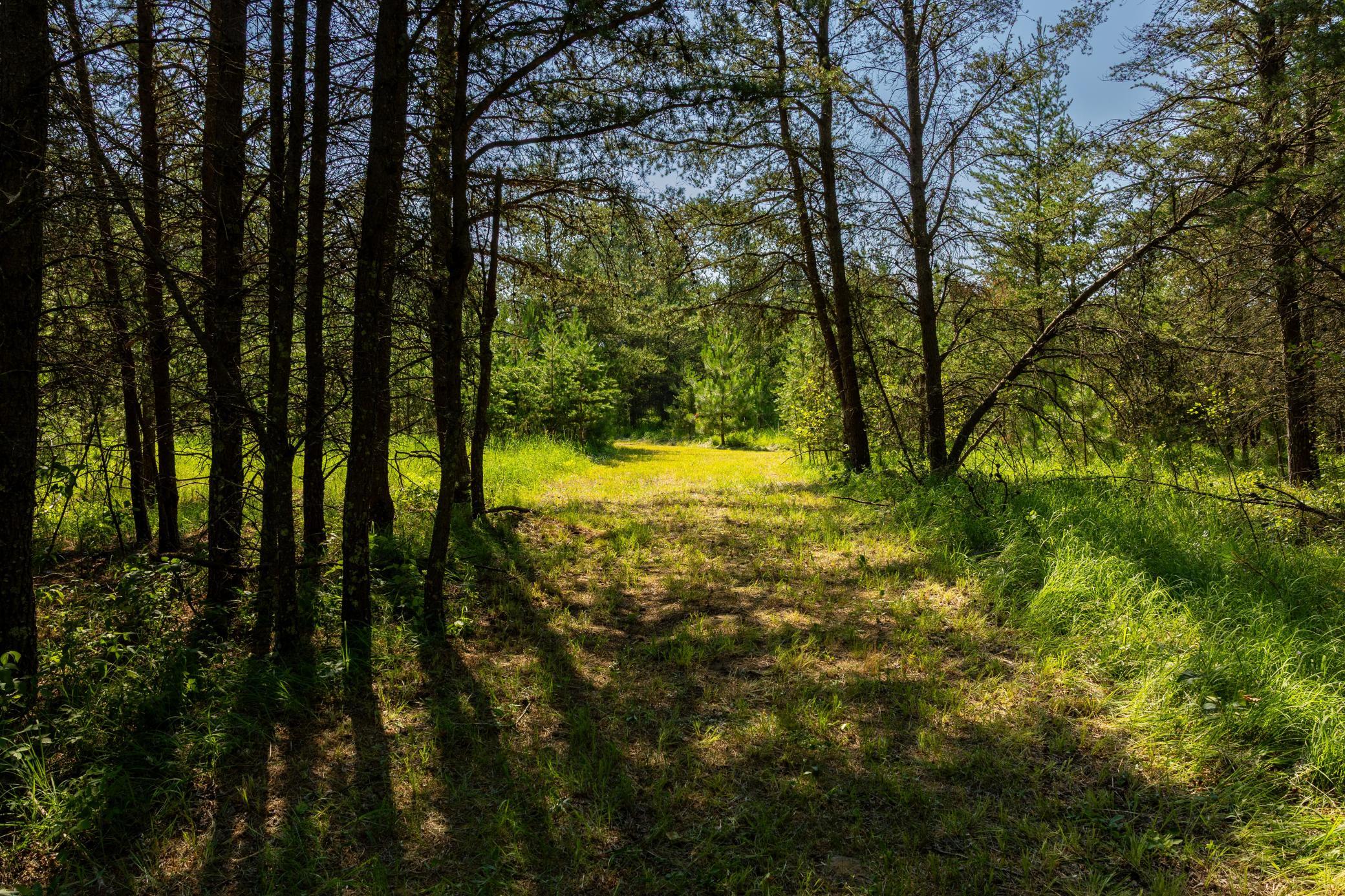 Tract 1 - Tbd Hubbard Line Rd Property Photo 42