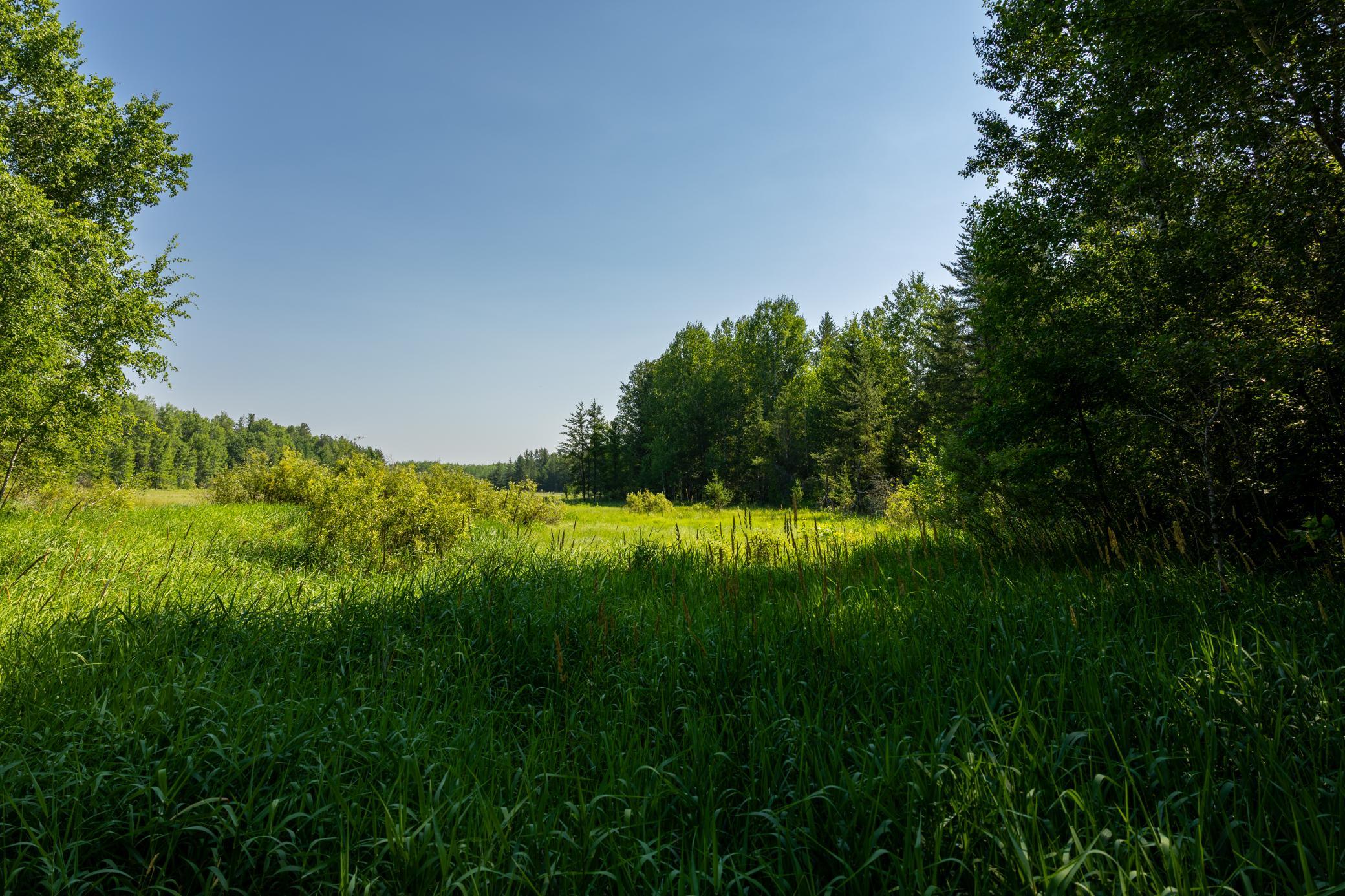 Tract 1 - Tbd Hubbard Line Rd Property Photo 45