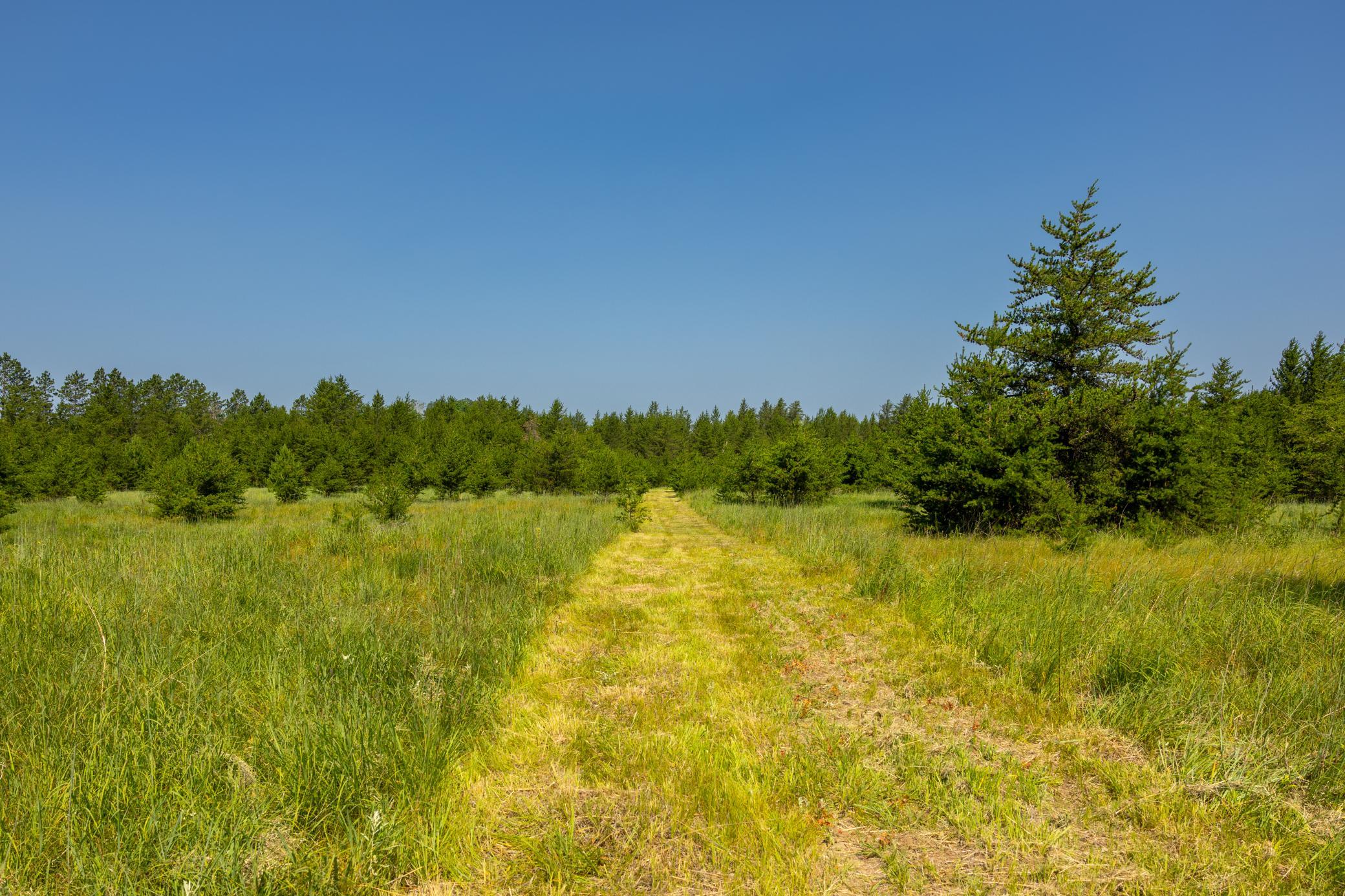 Tract 1 - Tbd Hubbard Line Rd Property Photo 46