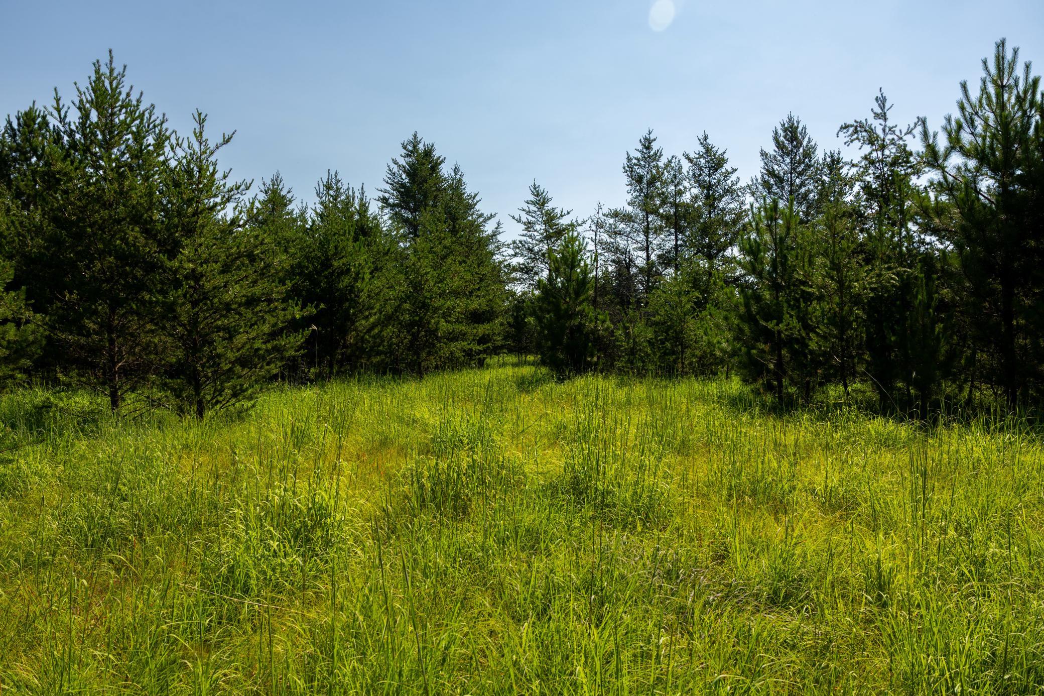 Tract 1 - Tbd Hubbard Line Rd Property Photo 47