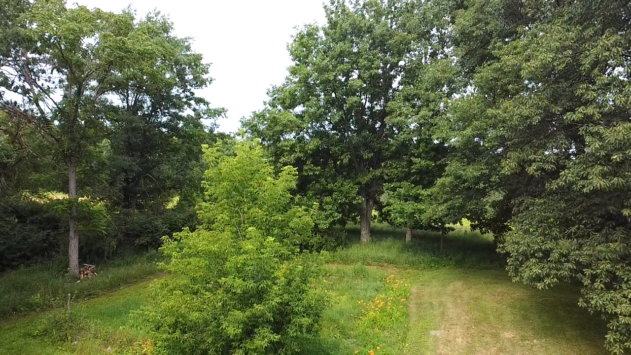 31309 350th Avenue Property Photo 54