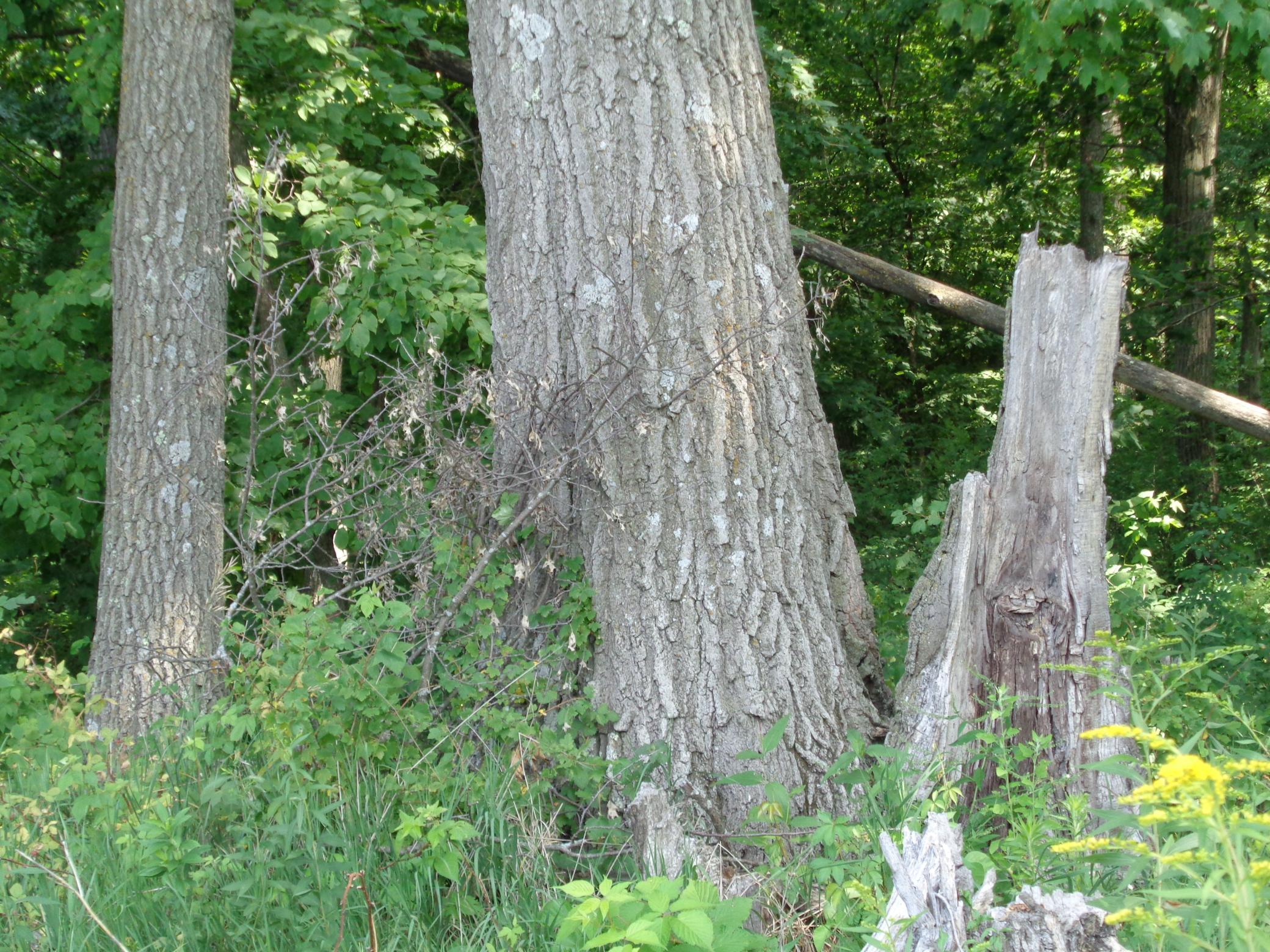 Xxx 250th Street Property Photo 6