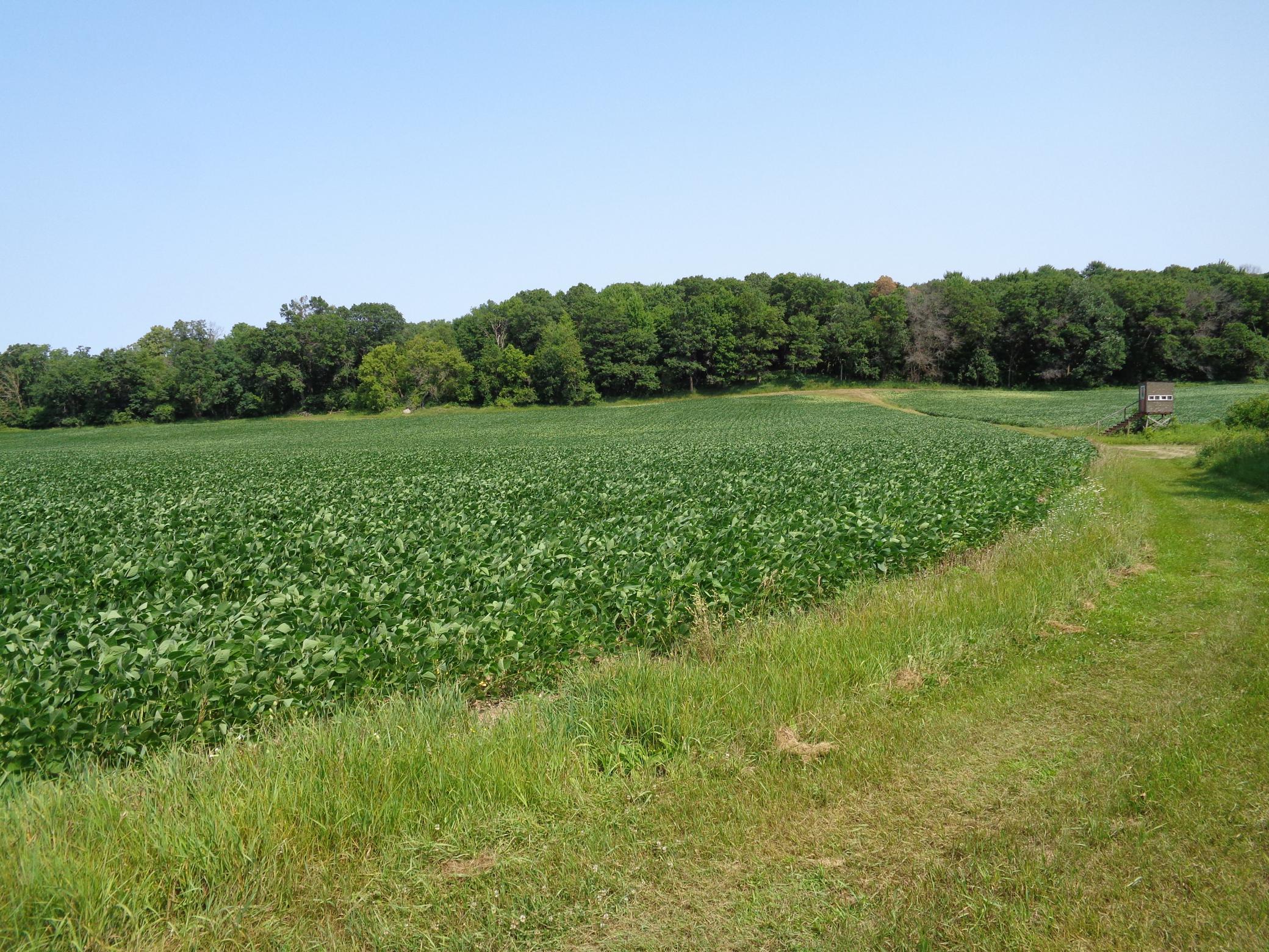 Xxx 250th Street Property Photo 10