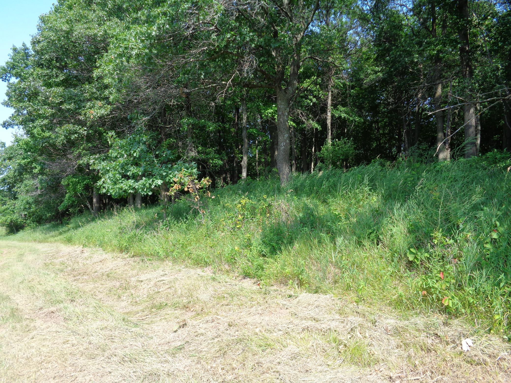 Xxx 250th Street Property Photo 13