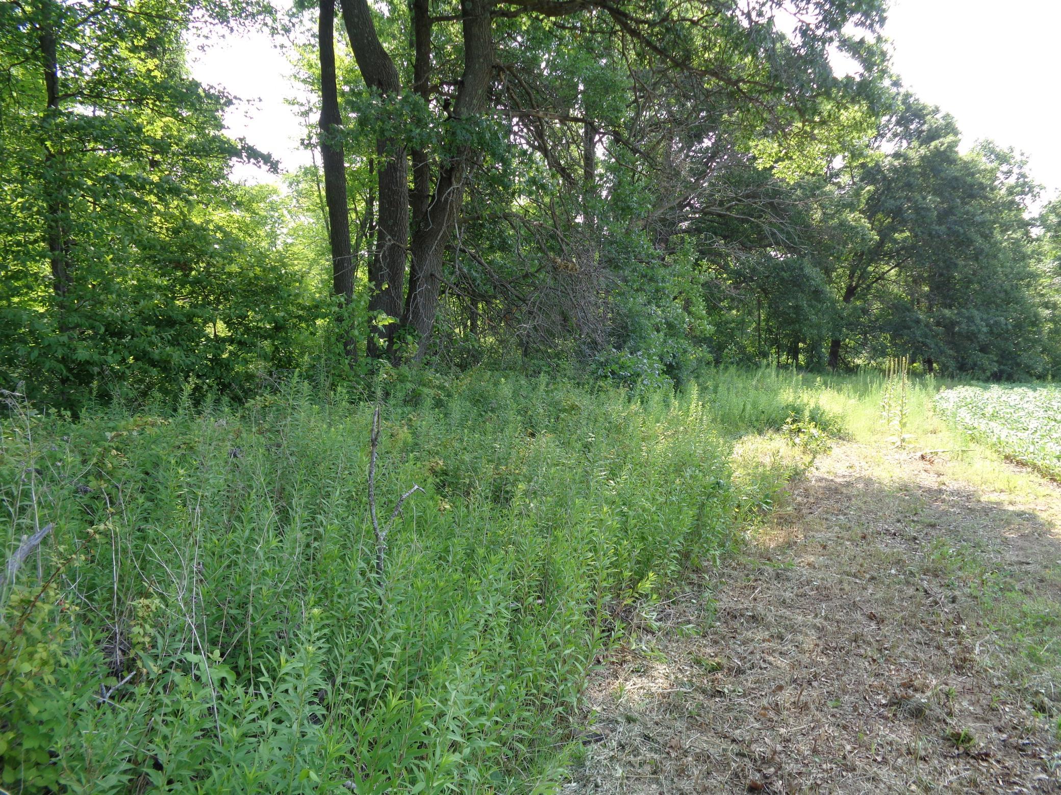 Xxx 250th Street Property Photo 15