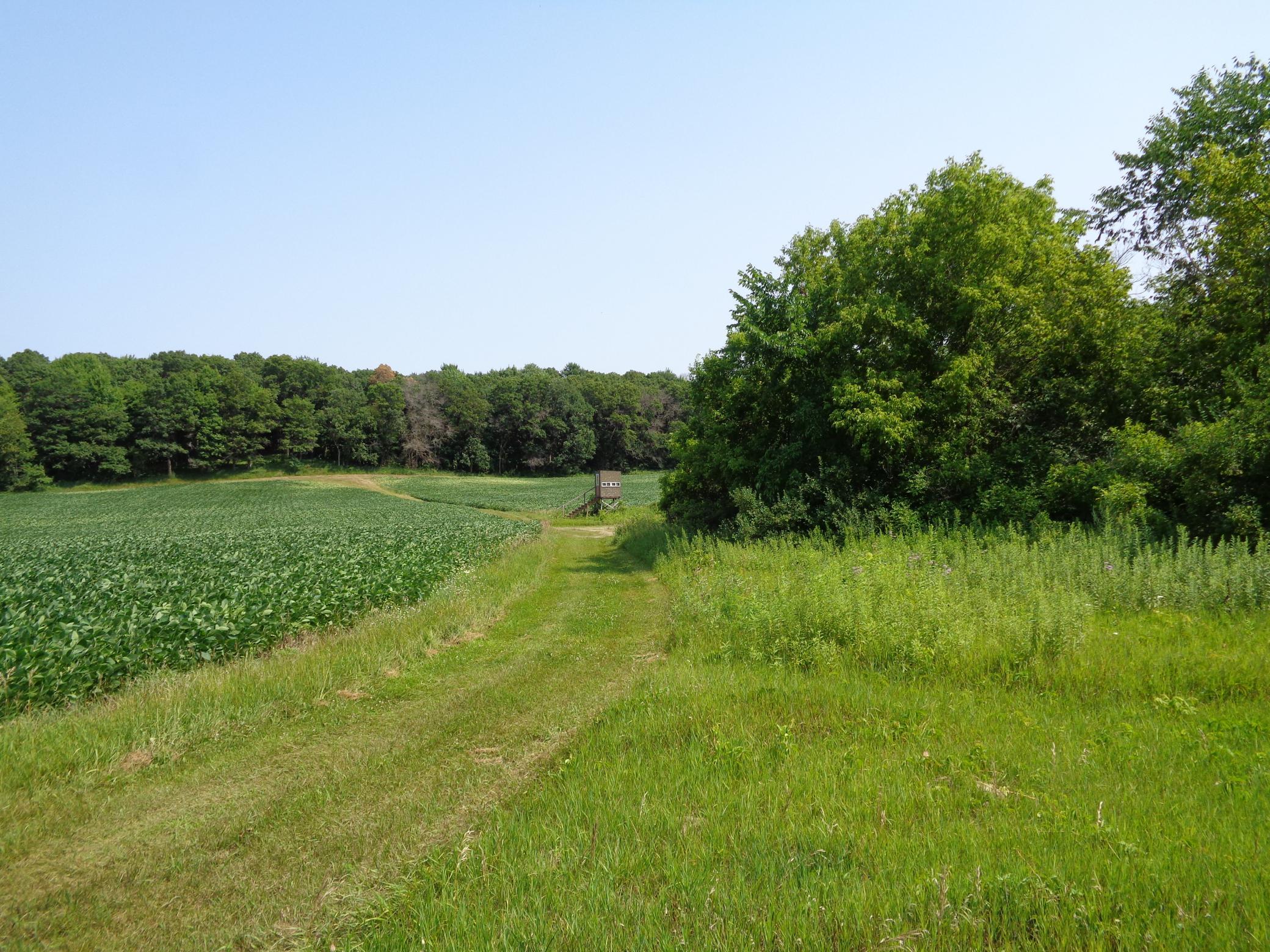 Xxx 250th Street Property Photo 16