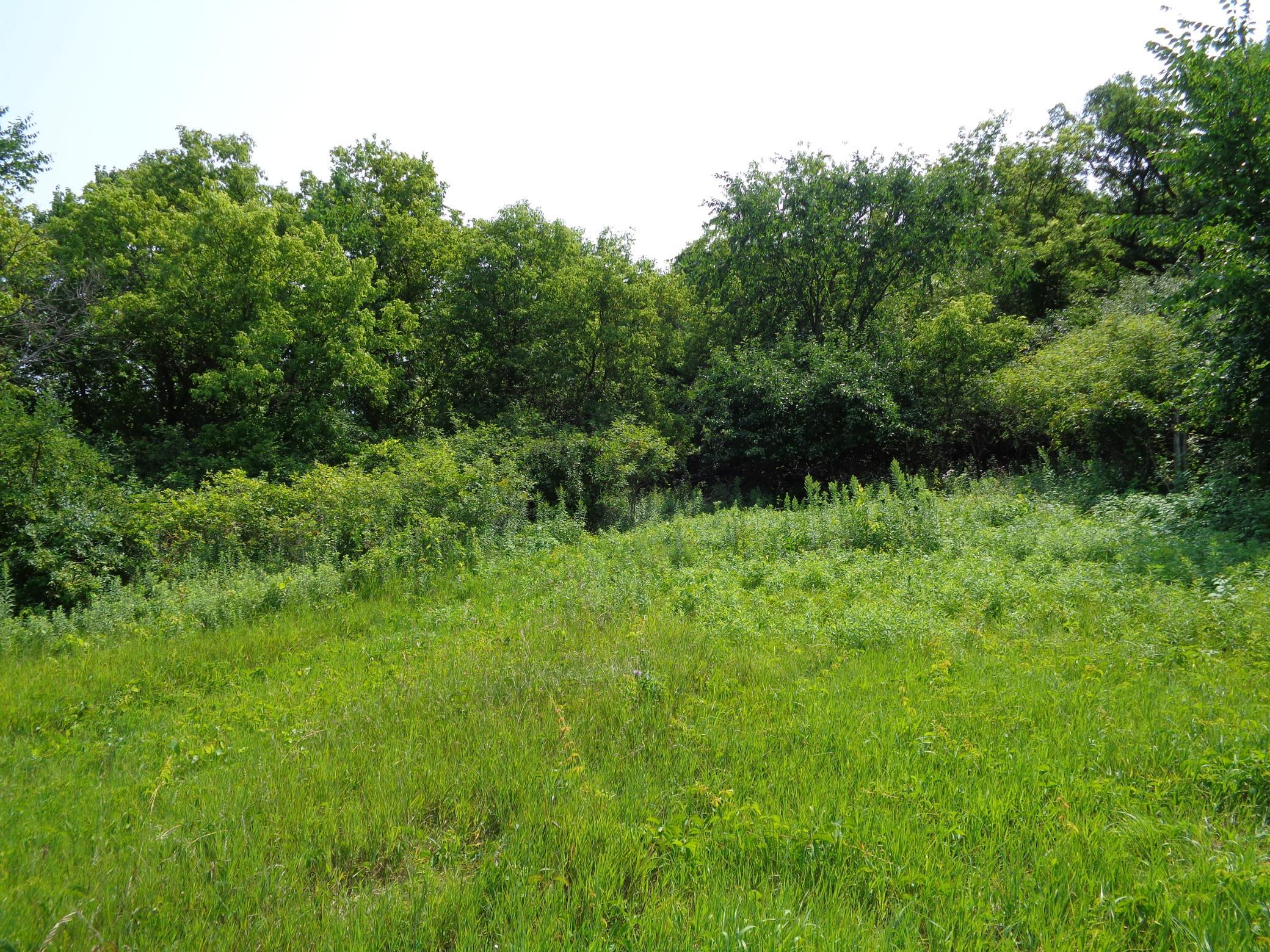 Xxx 250th Street Property Photo 18