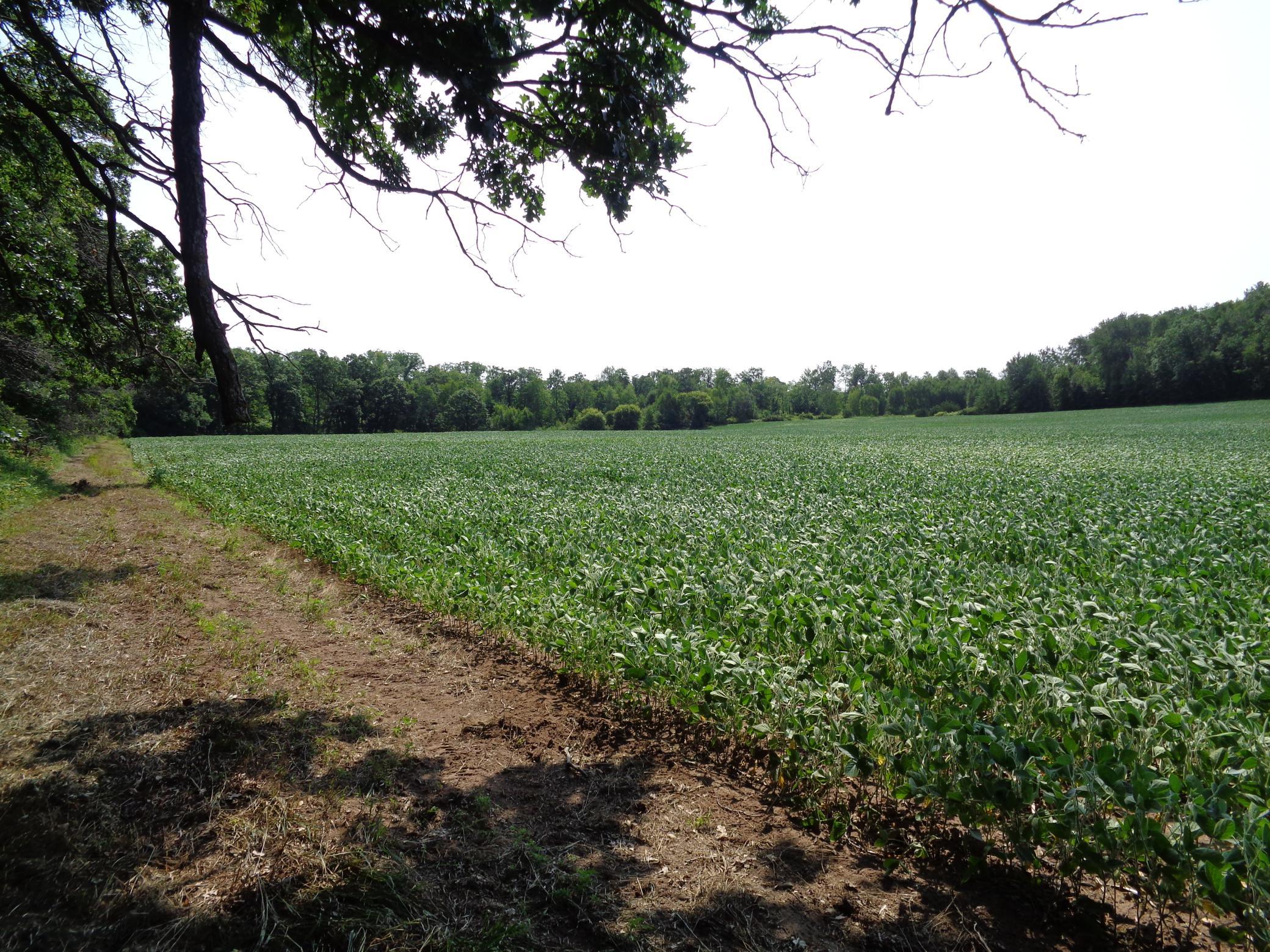 Xxx 250th Street Property Photo 19