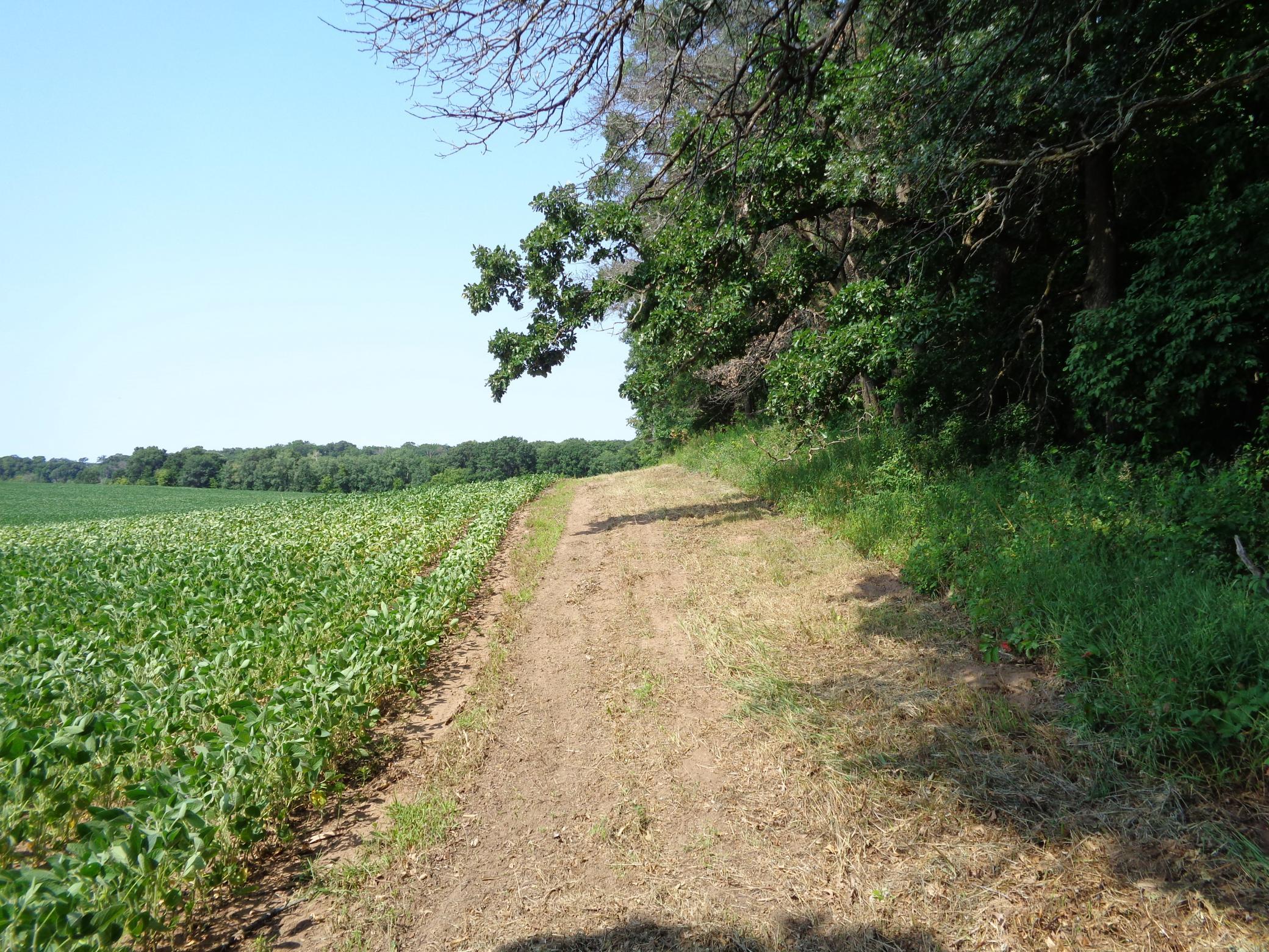 Xxx 250th Street Property Photo 20