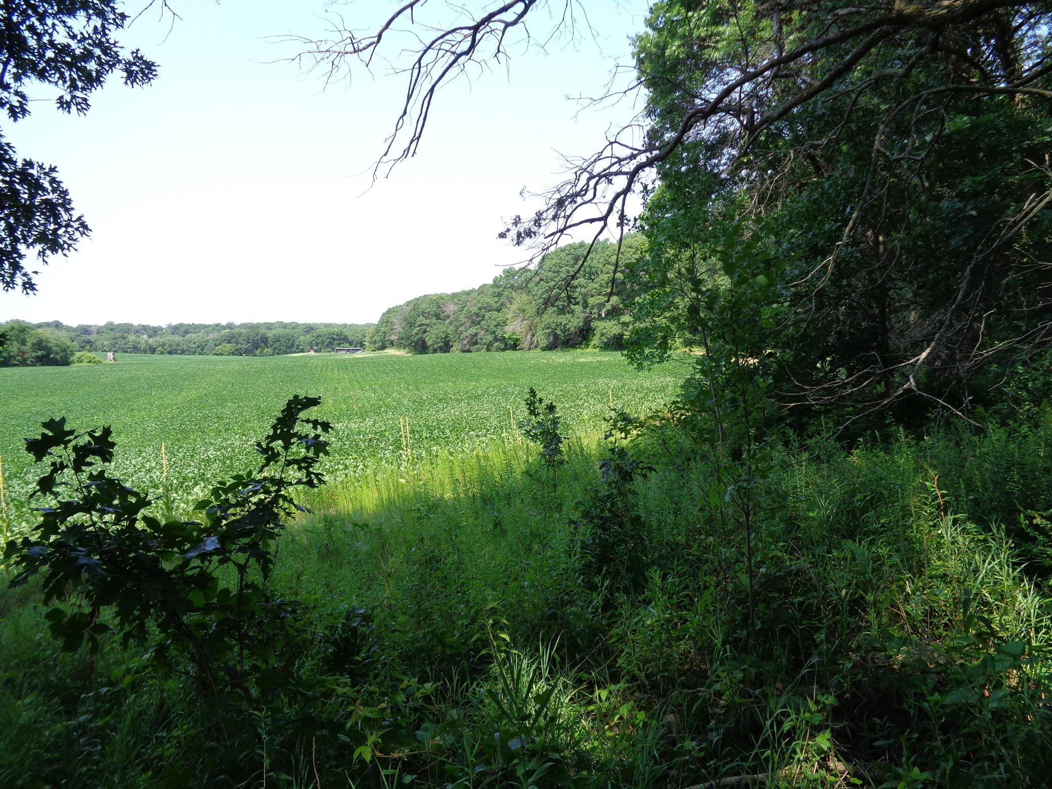 Xxx 250th Street Property Photo 21