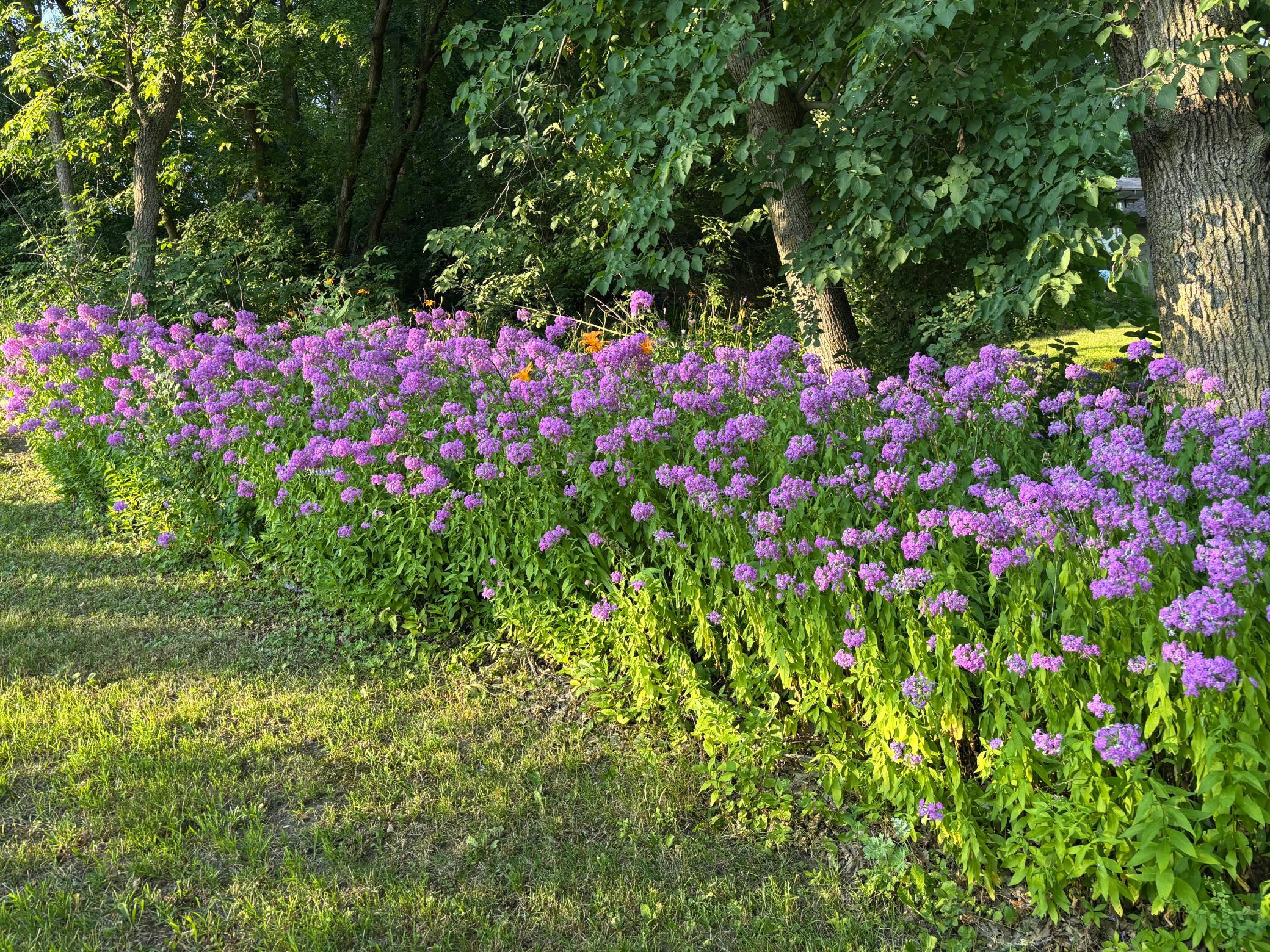 61689 Leaf River Road Property Photo 44